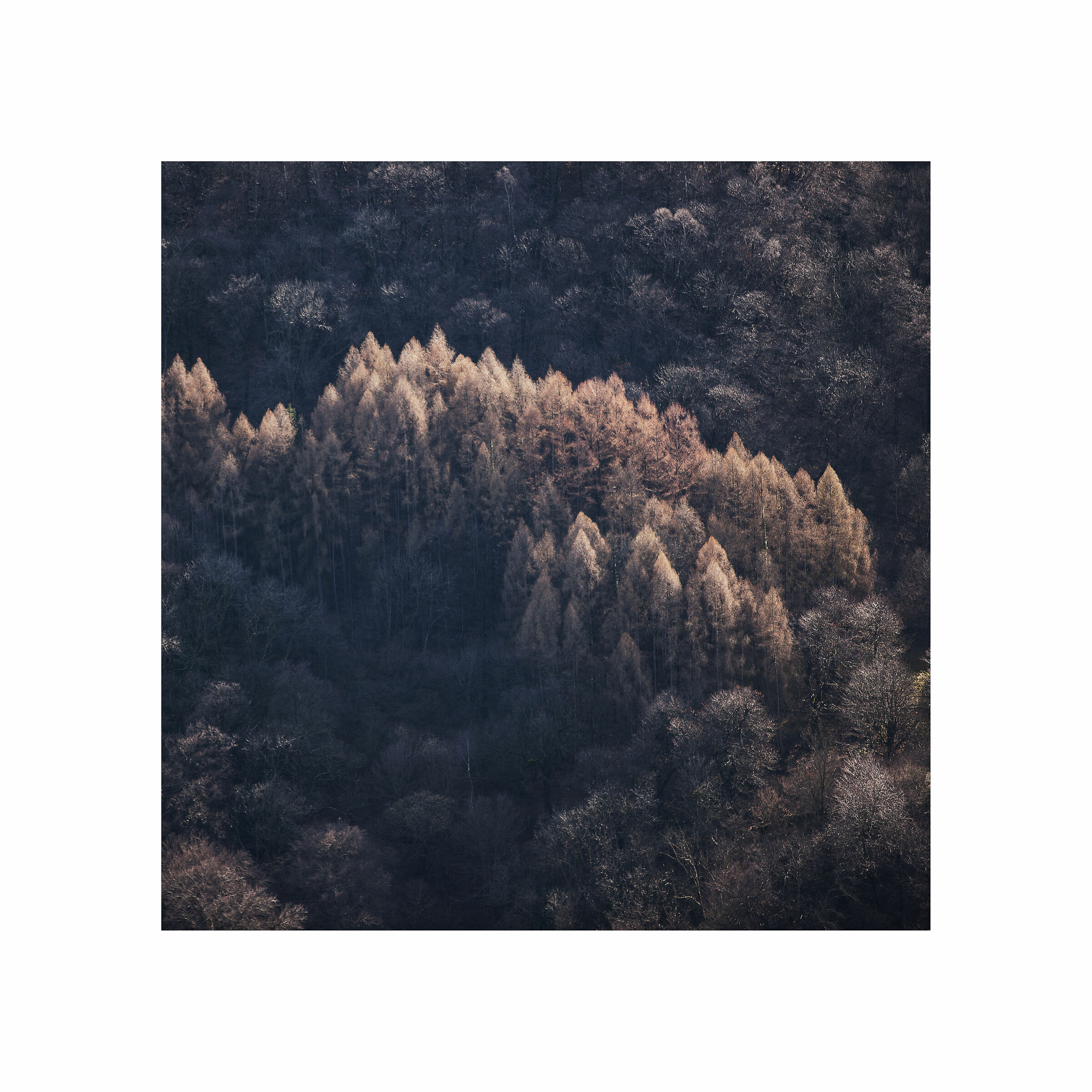 Untitled Photo