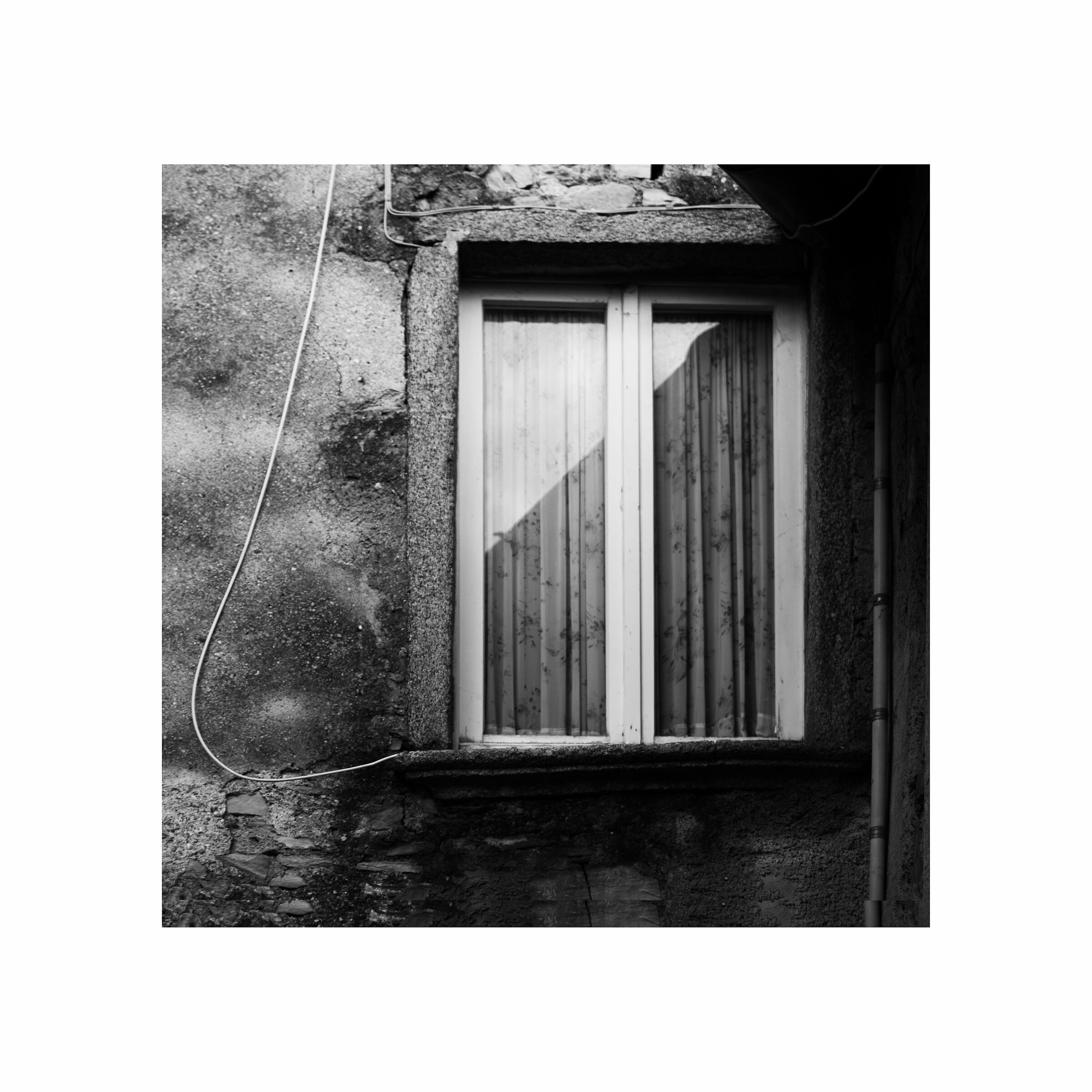 Untitled Photo