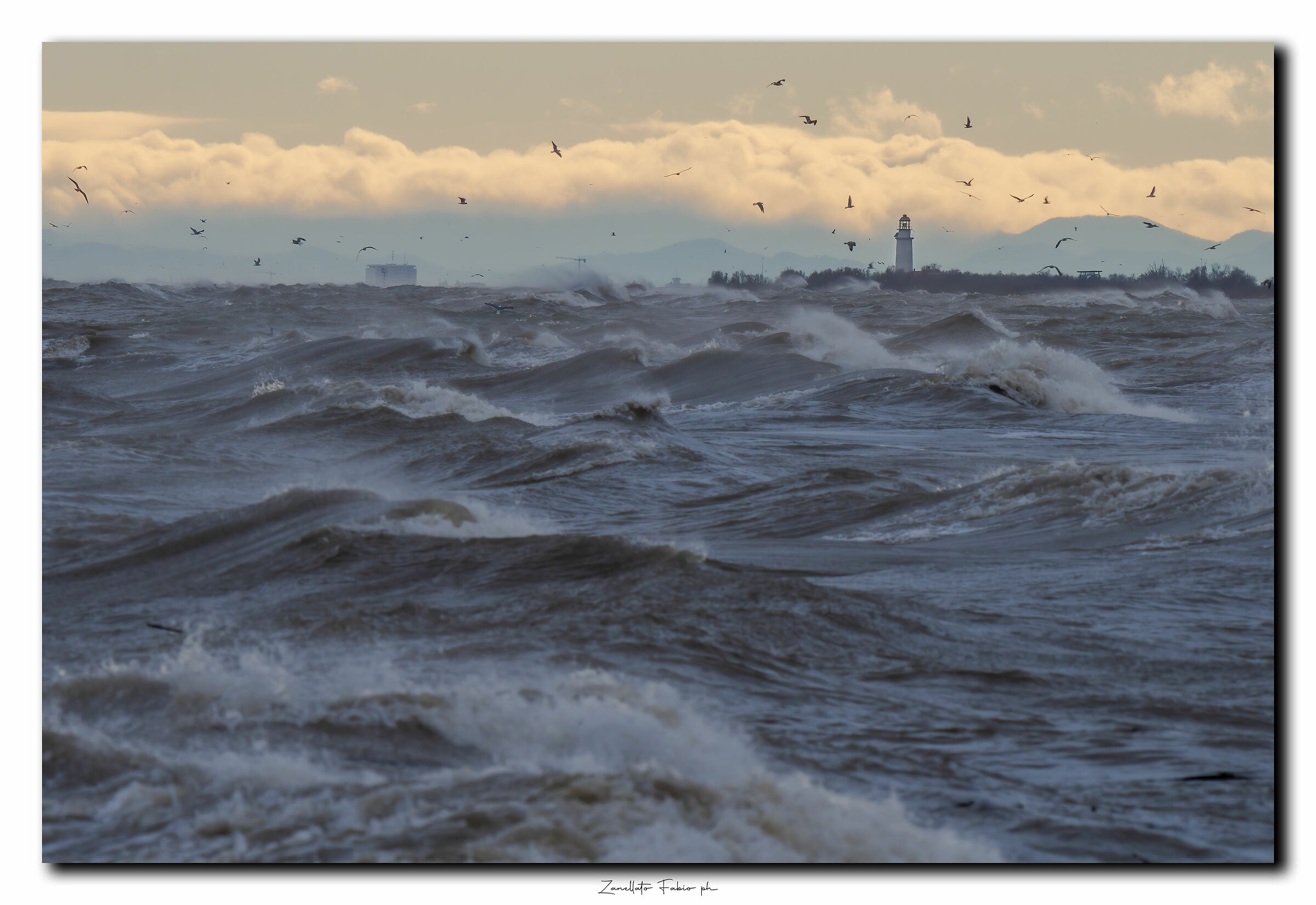 Undulating in the Po Delta Veneto