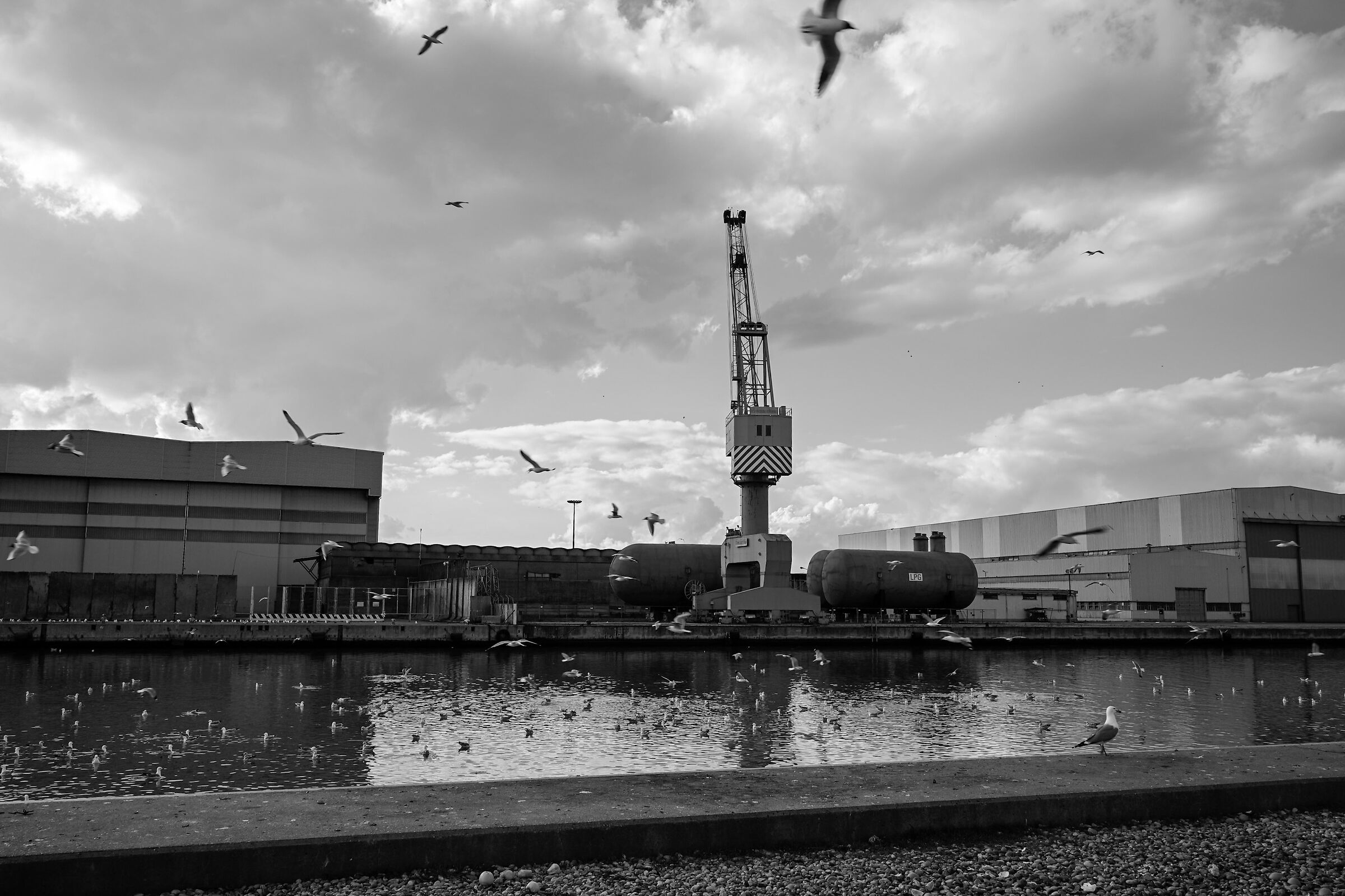 Industrial Landscapes