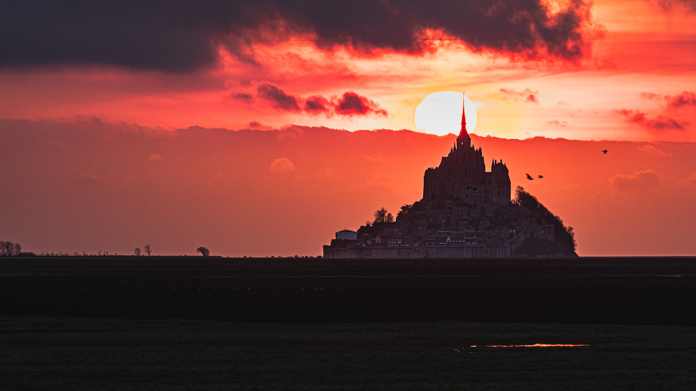 la merveille