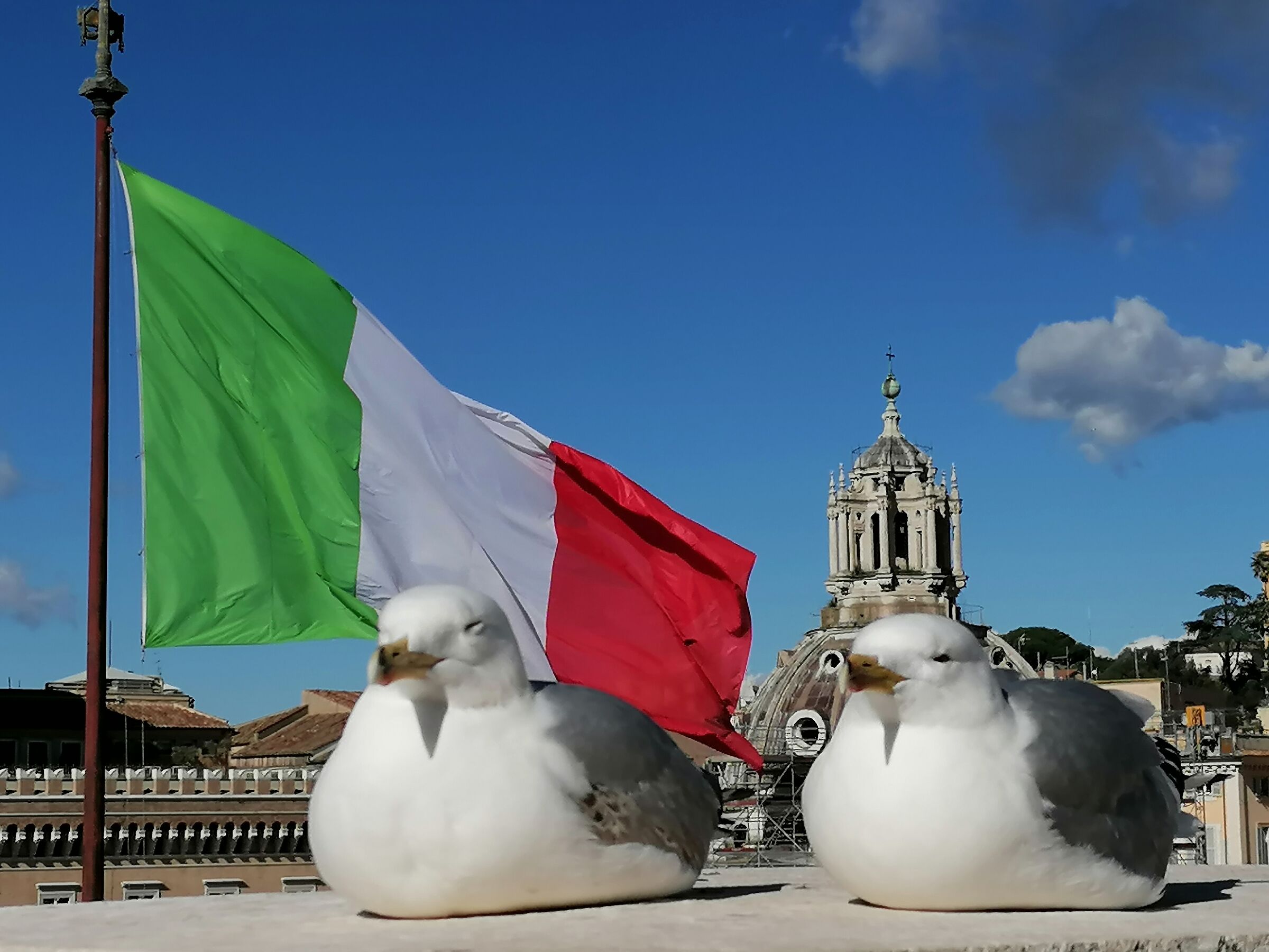 i guardiani della bandiera