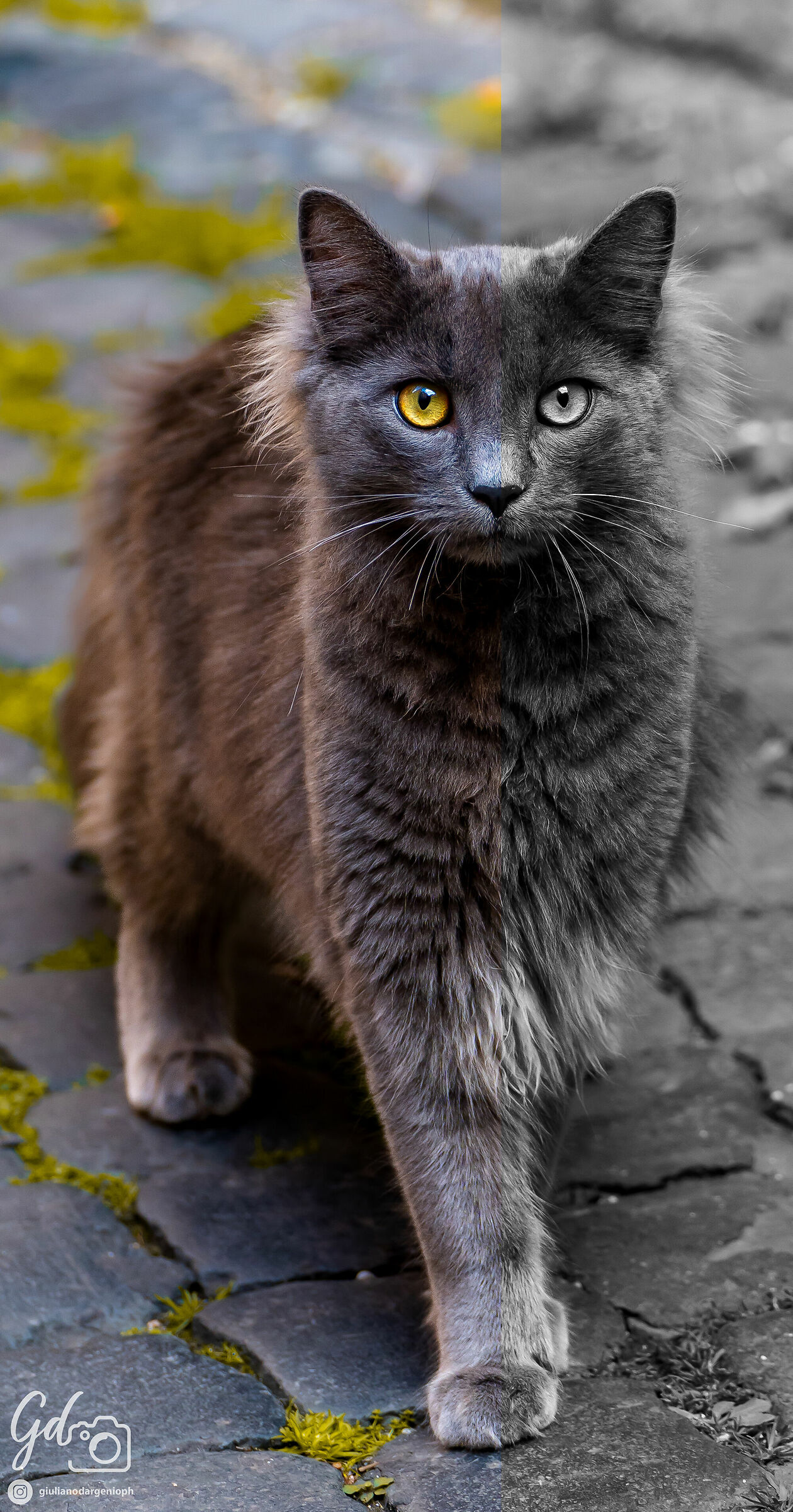Piacevoli incontri casuali - Roma