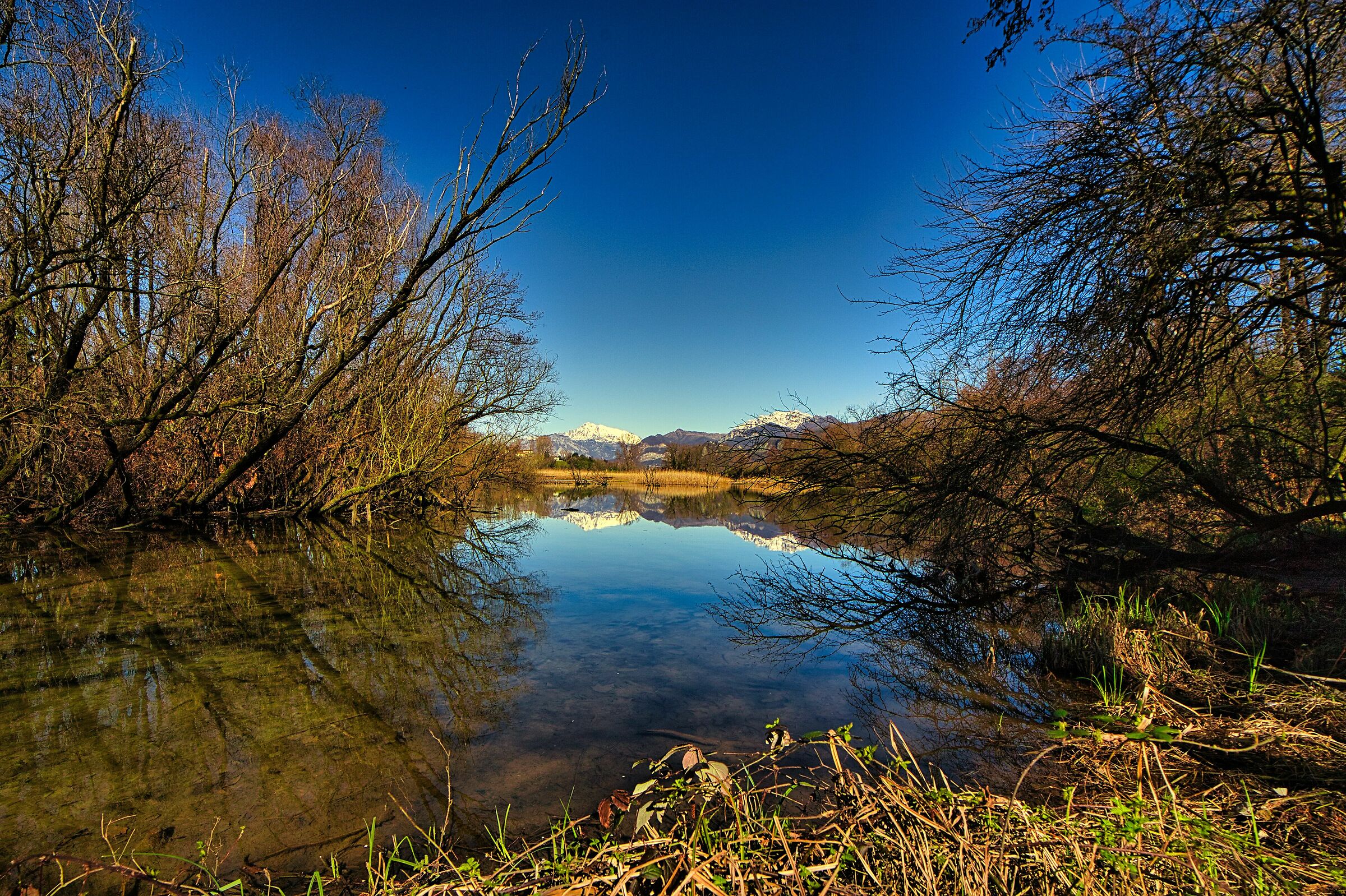 Alberone Oasis