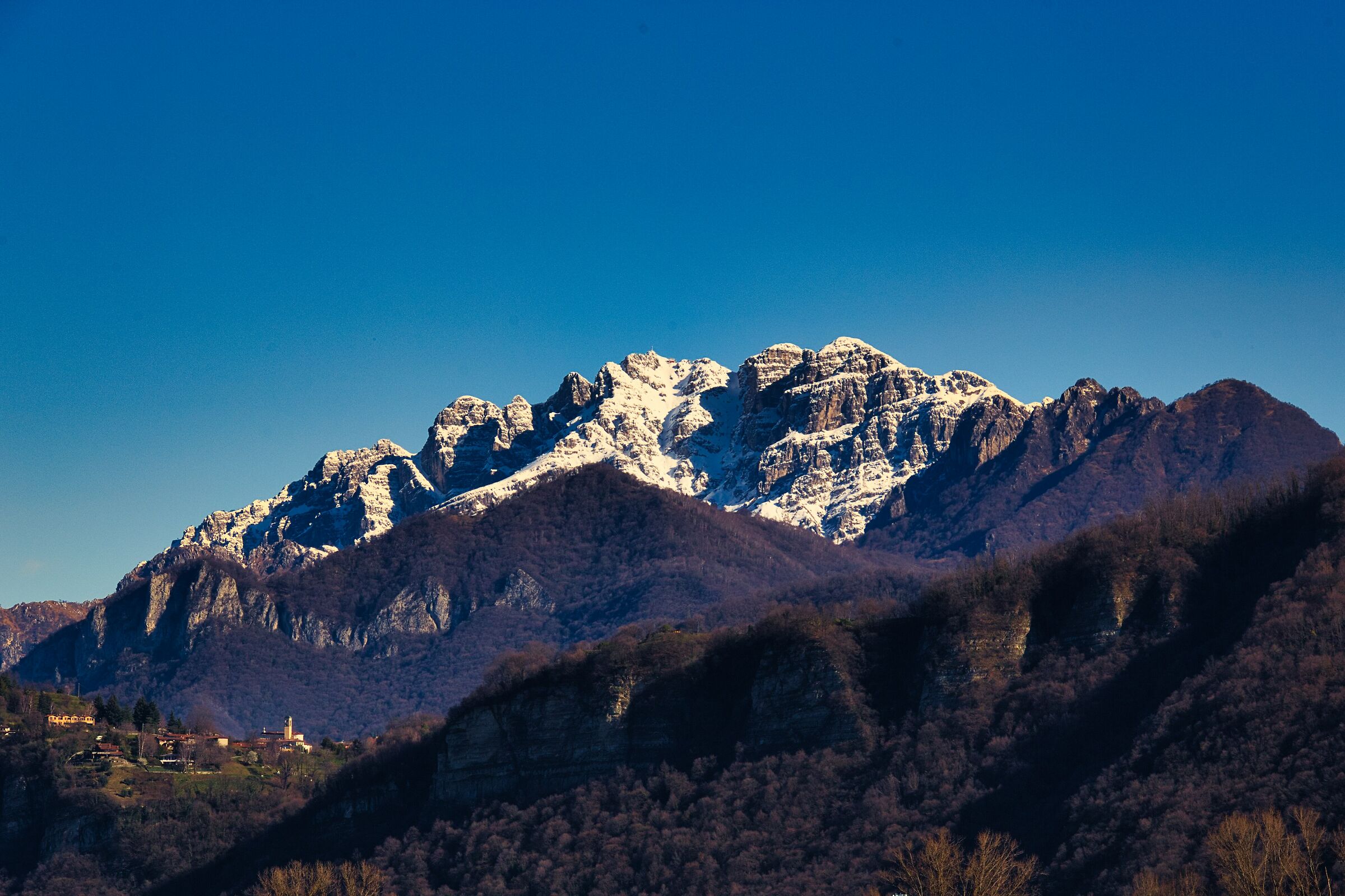 Alberone Oasis