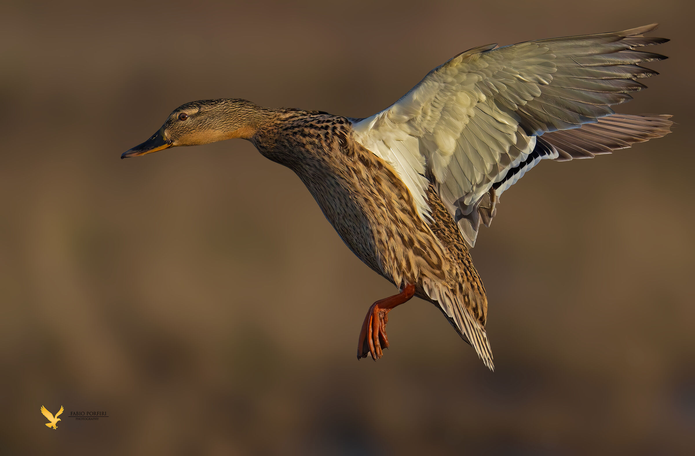 al posto giusto al momento giusto