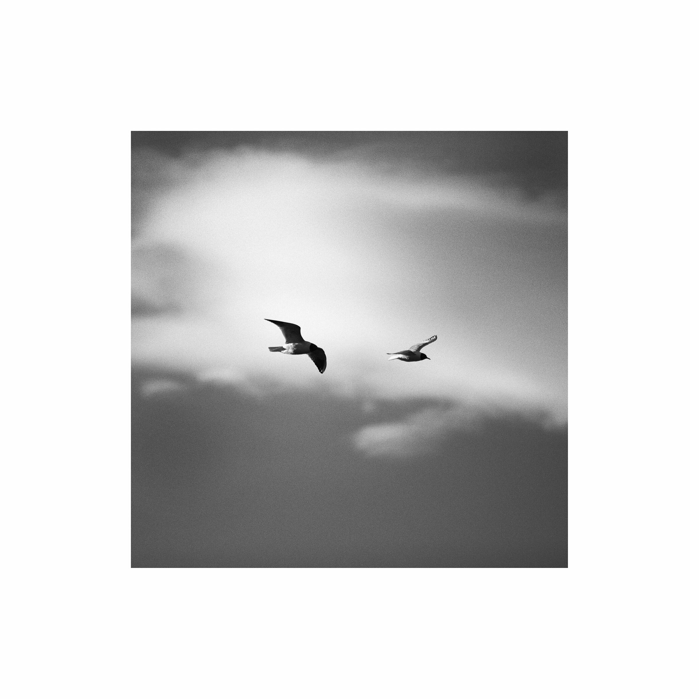Untitled Photo