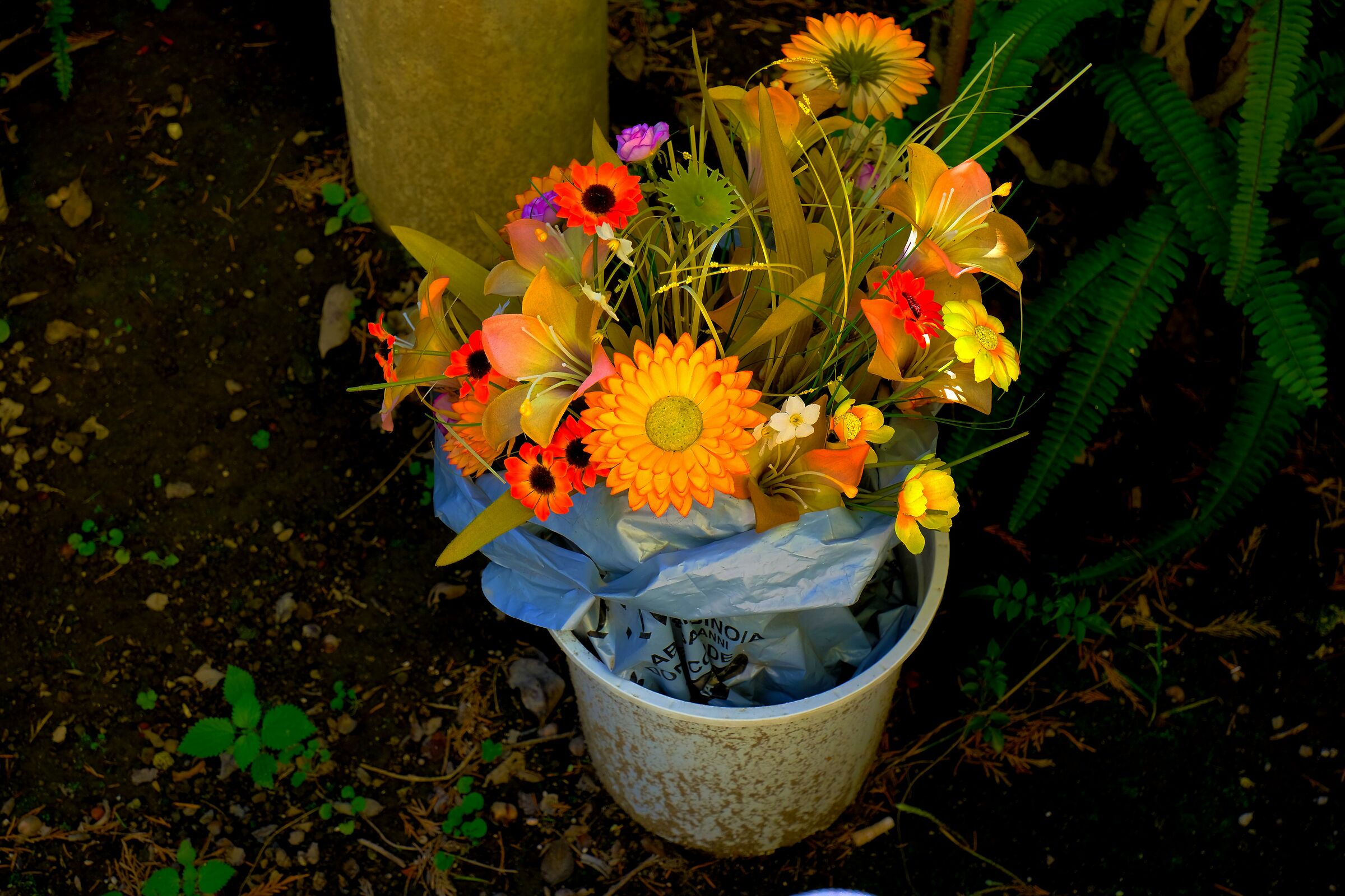 la gioia della natura nei suoi colori