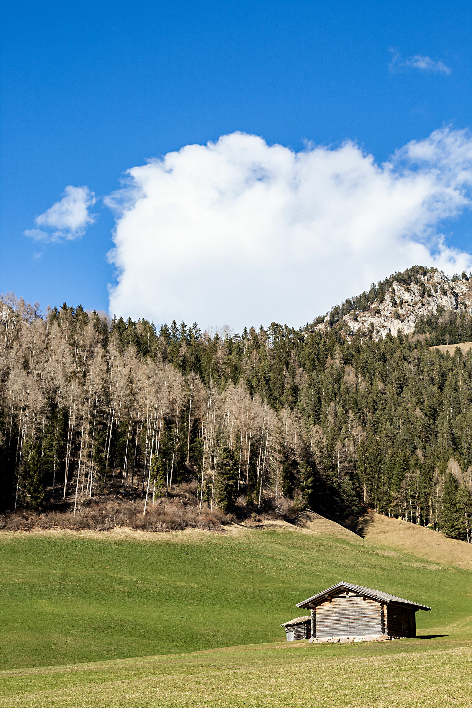 Home sweet home ( Val di Tires)