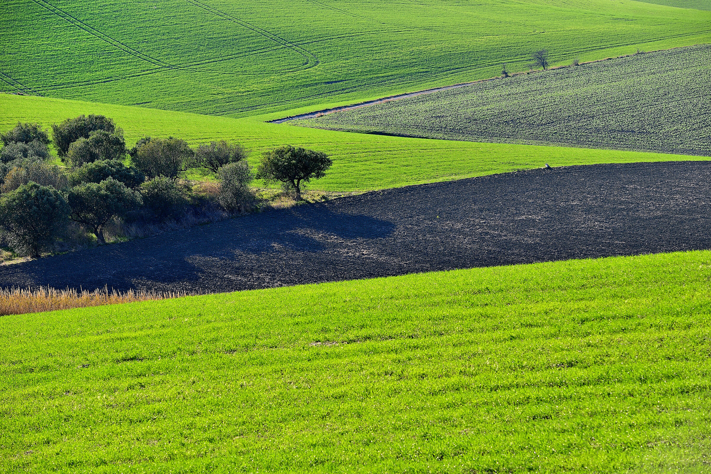 Spigolosità di confine