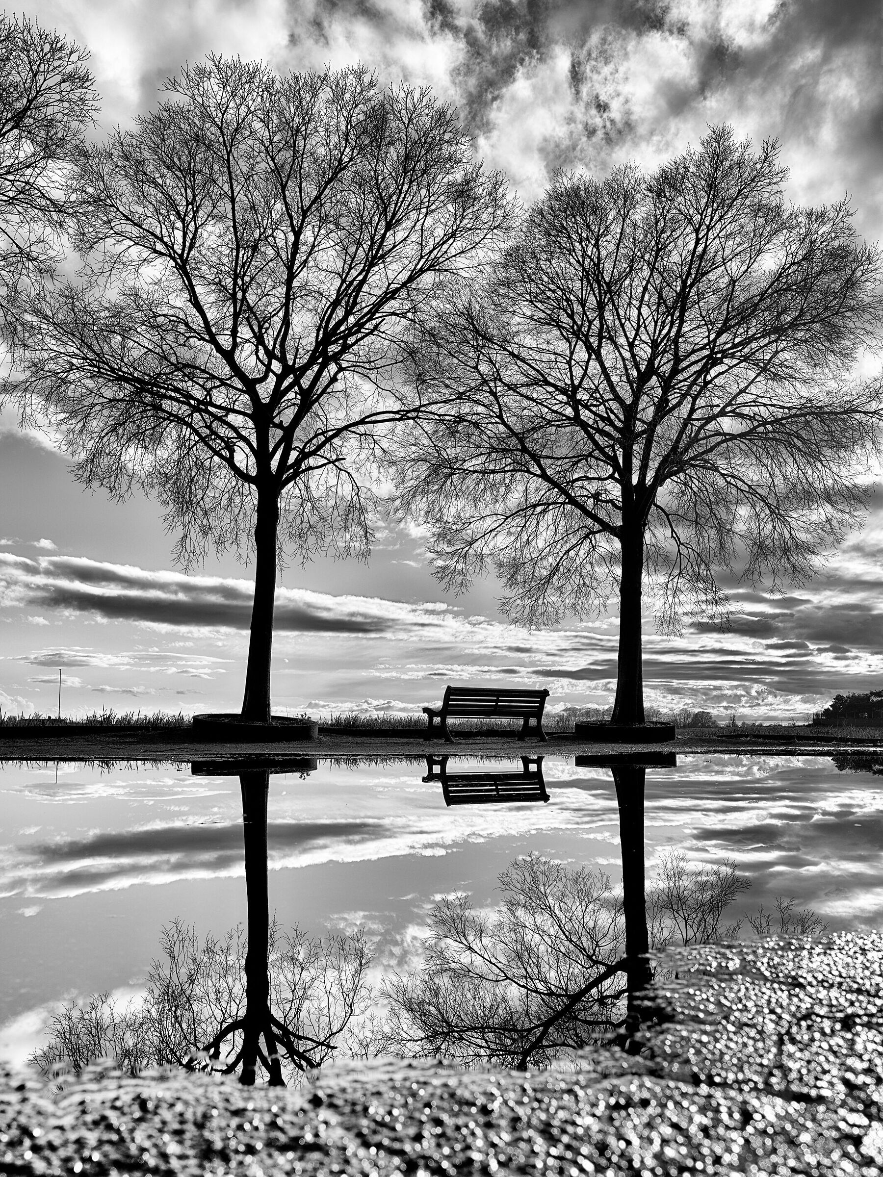 The Reflection Corner