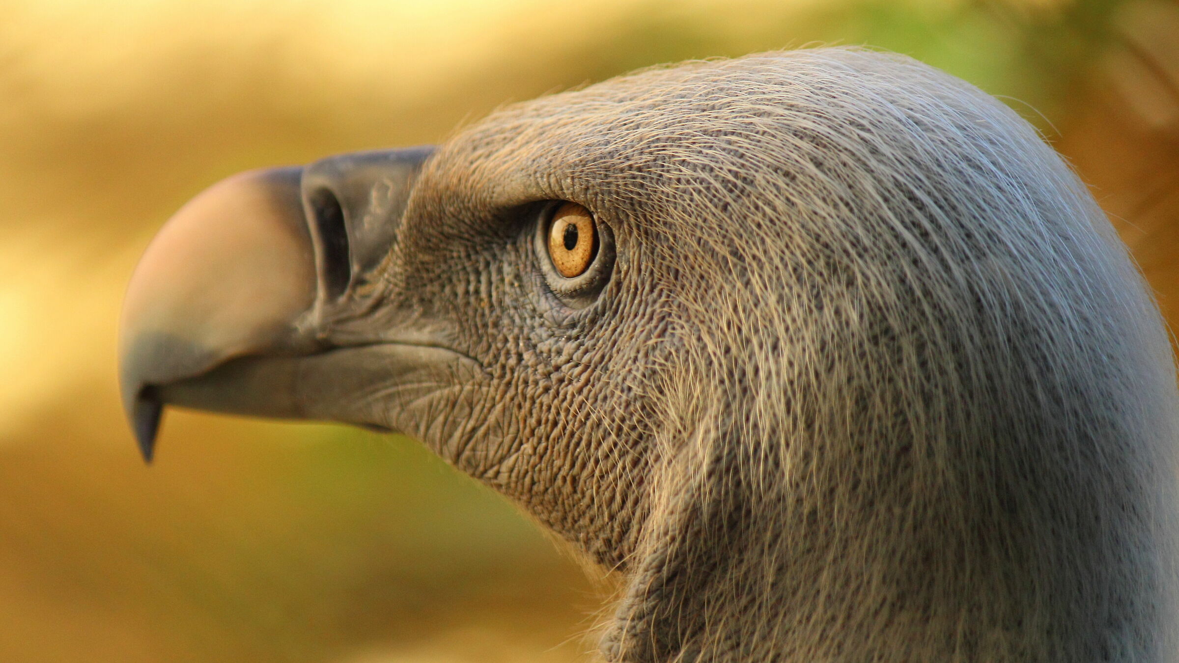 The Eye of the Photographer!