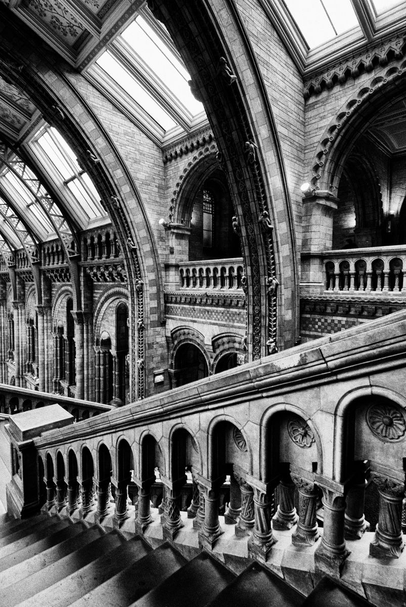 Natural History Museum