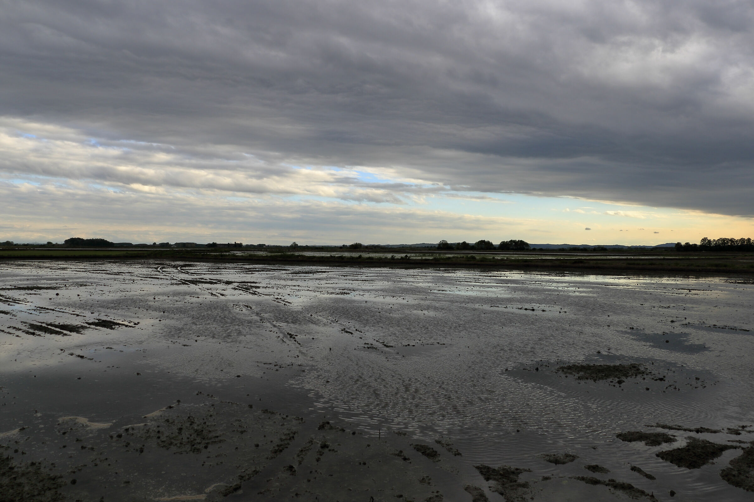 Se n'è venuta giù ...