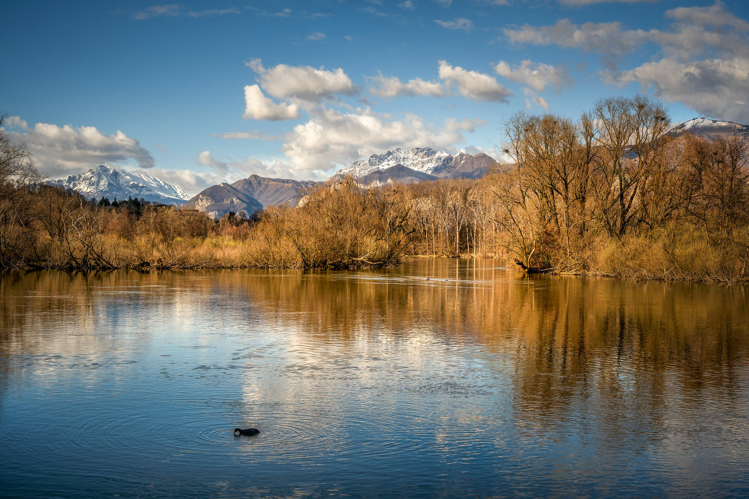 L'Adda ha buona voce….