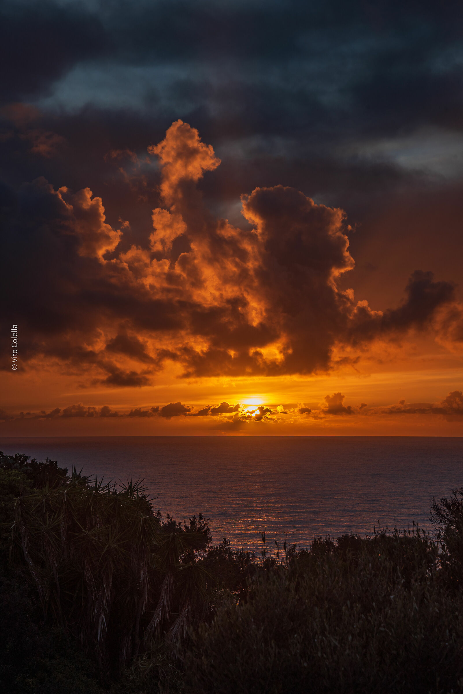 Belevedere by Zaro Forio D'Ischia