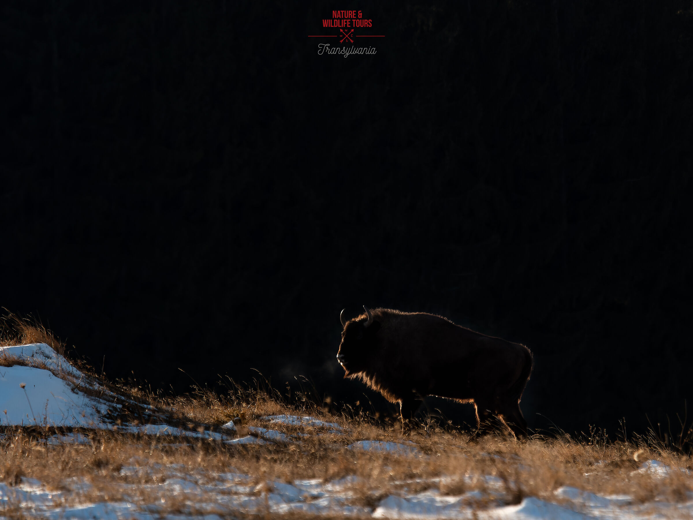 Il gigante del nevaio