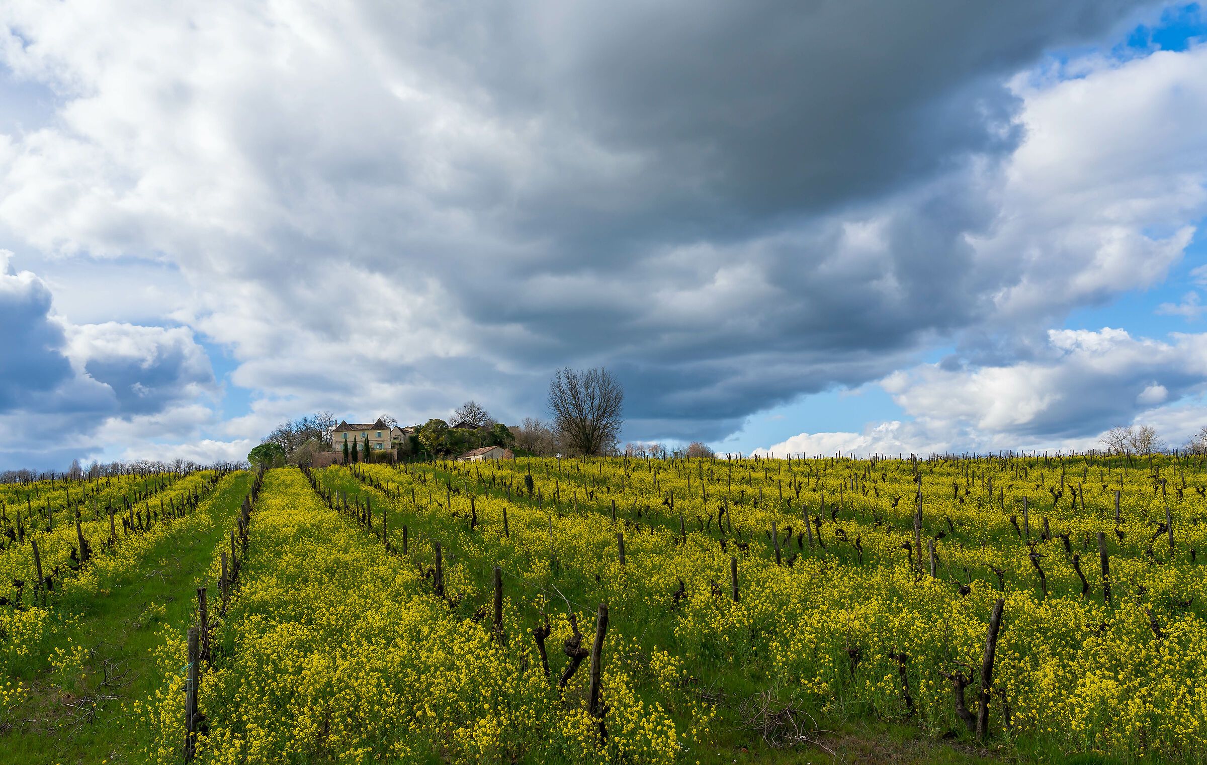 Somewhere in Nouvelle-Aquitaine