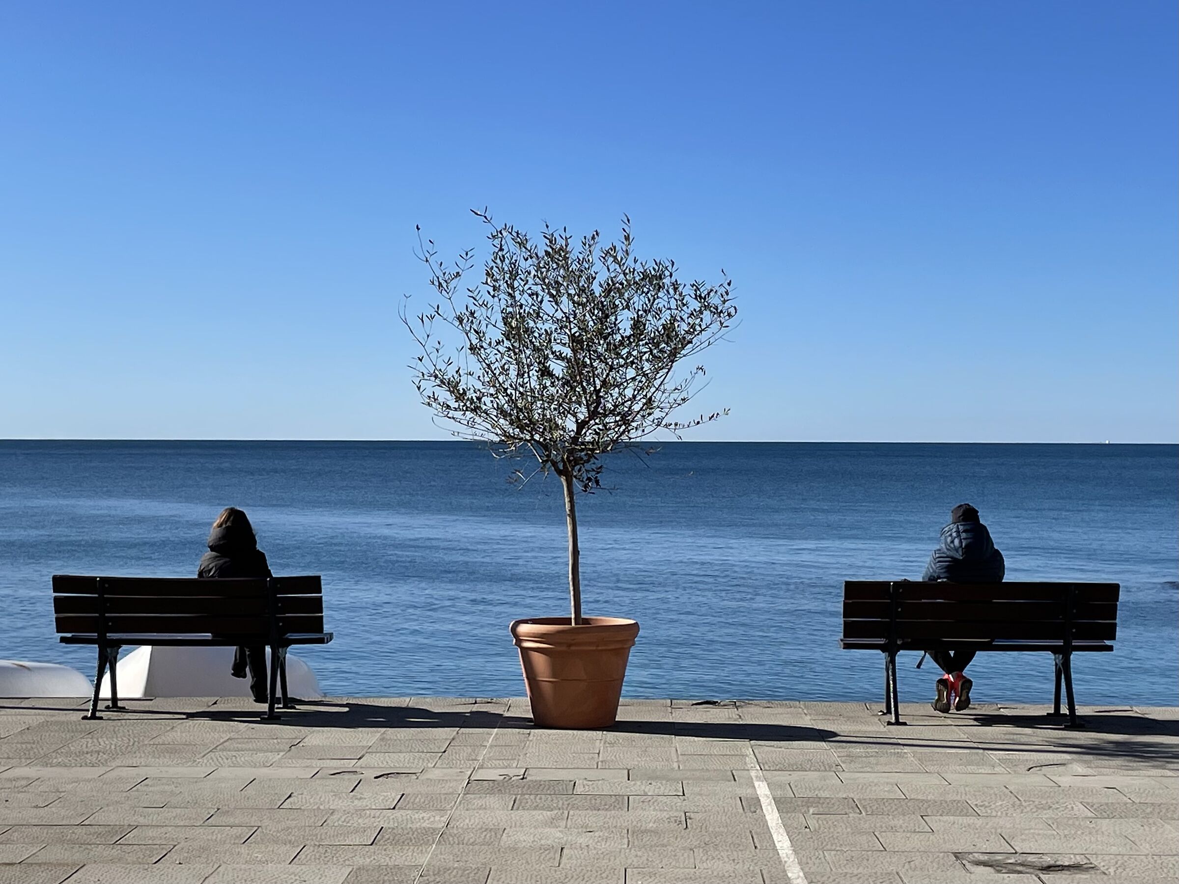 Camogli behind the horizon