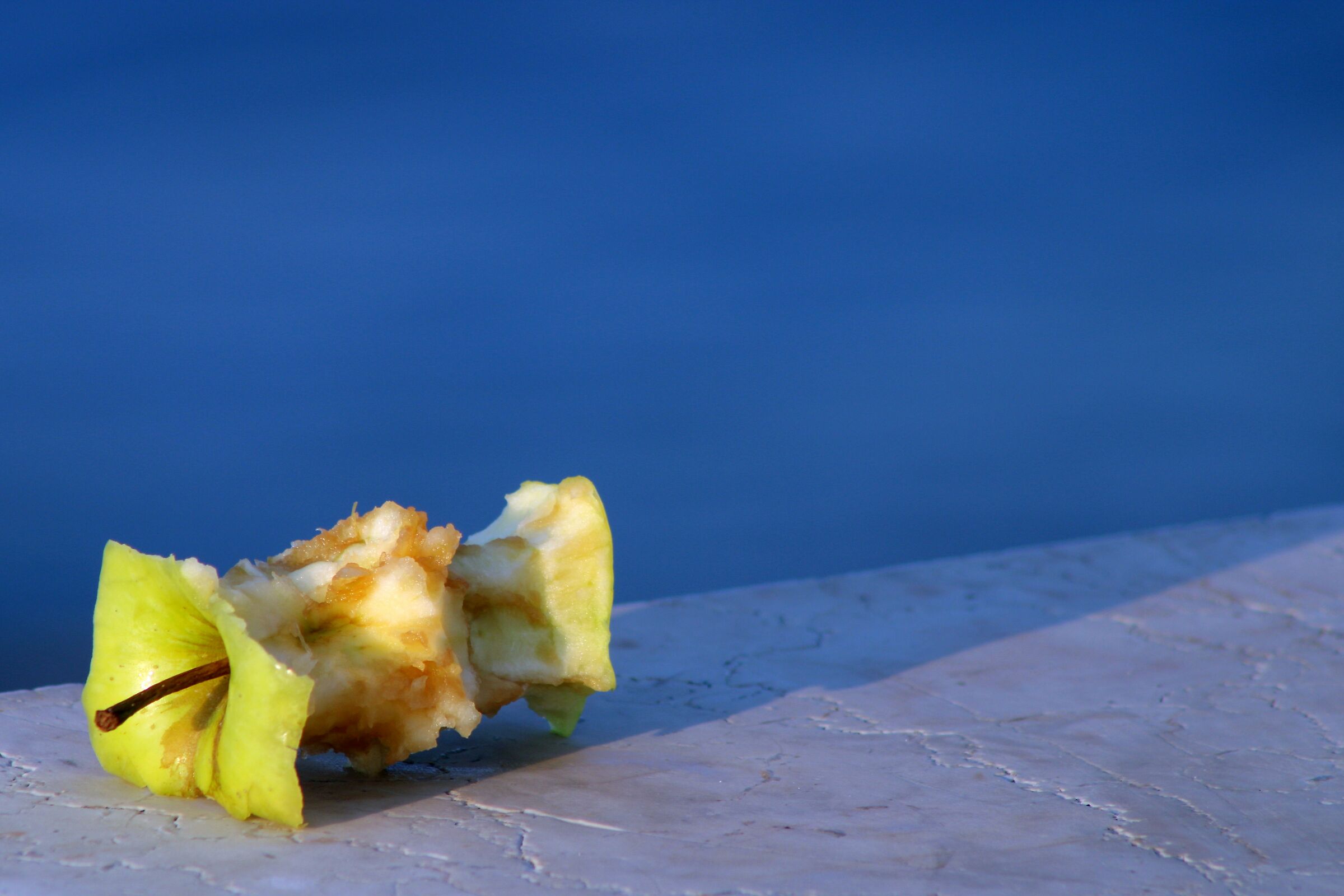 A hungry and careless human passed through here