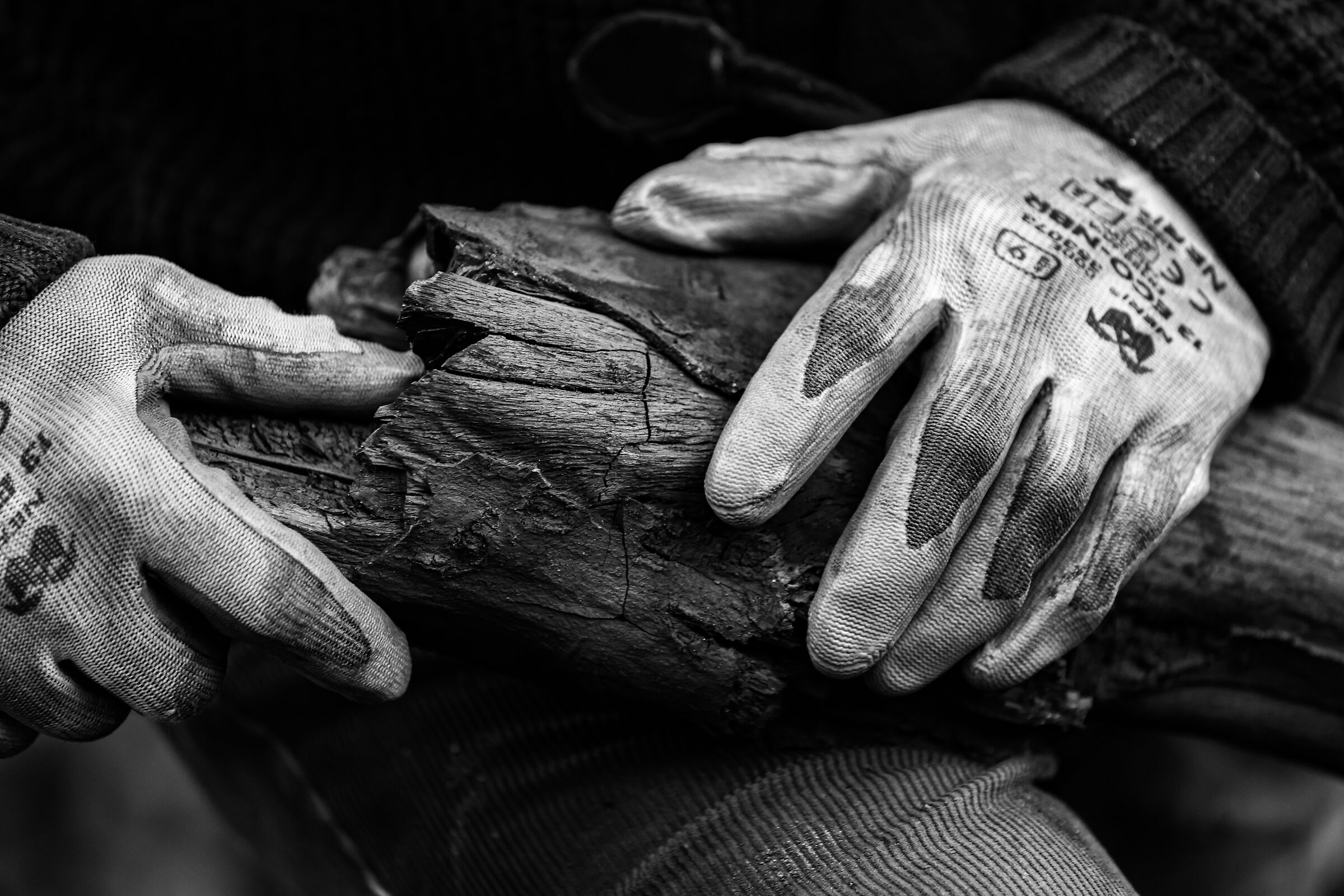 the charcoal burners of Serra San Bruno