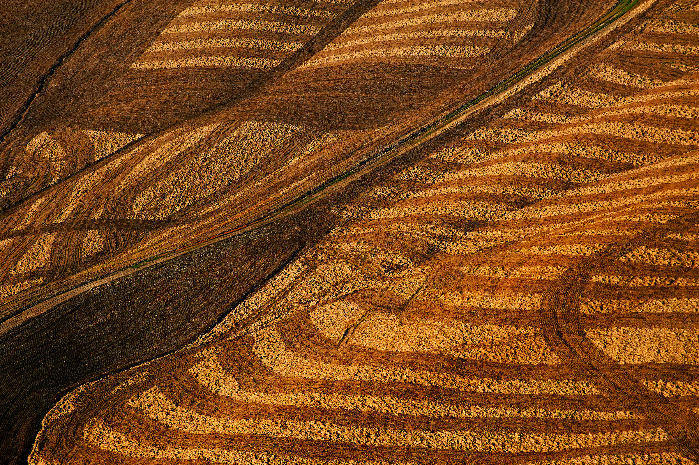 linee naturali.