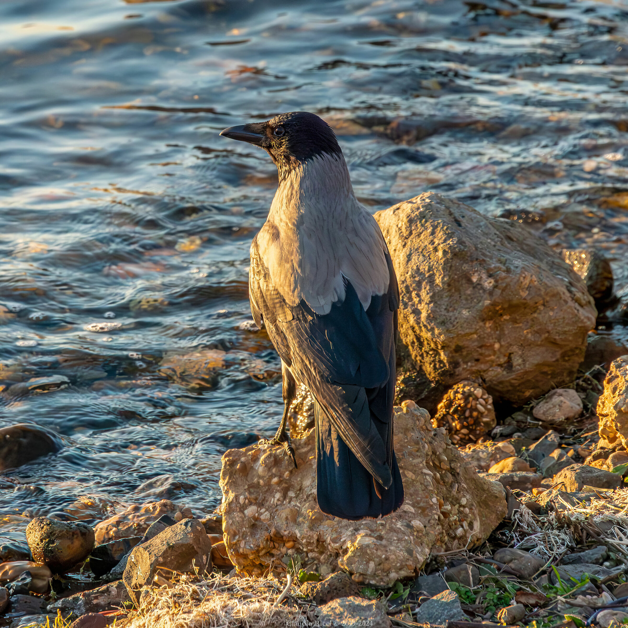 Guardian of the Lake