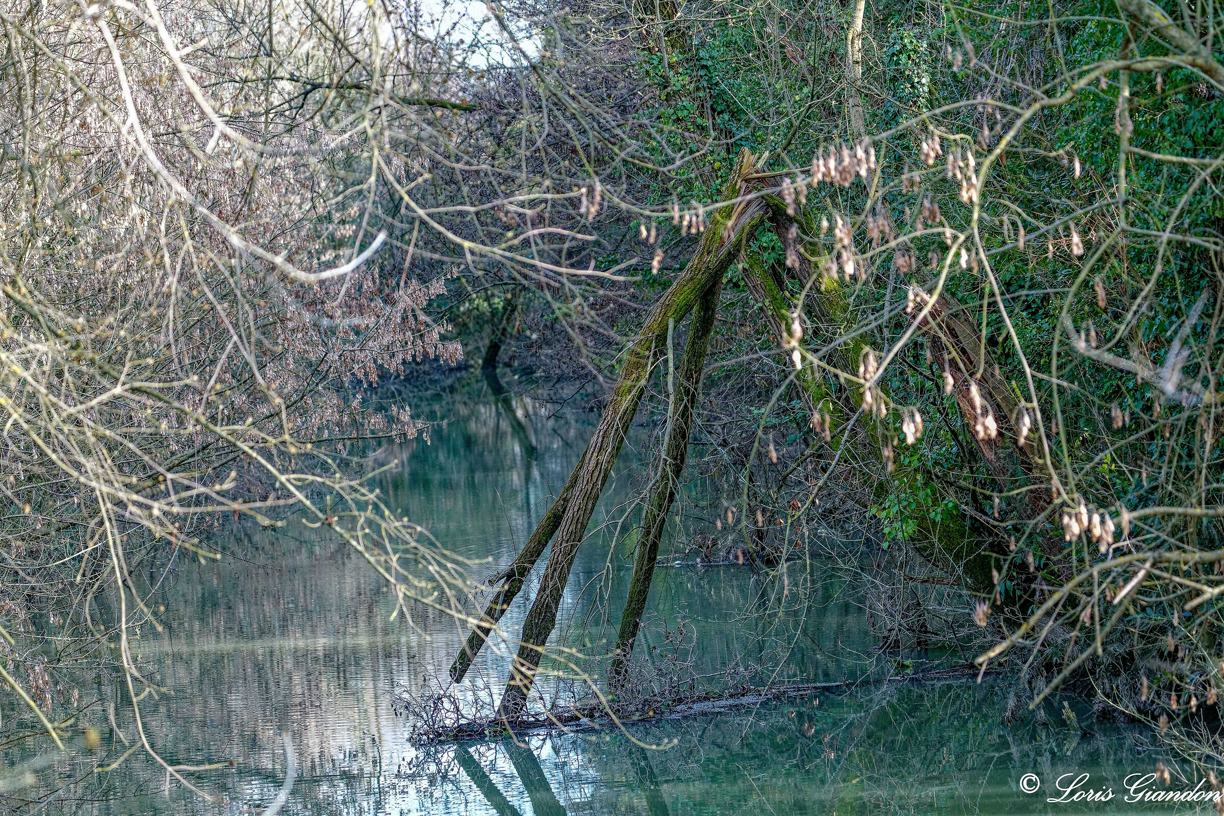 Oasi SIle Casale sul Sile Teviso