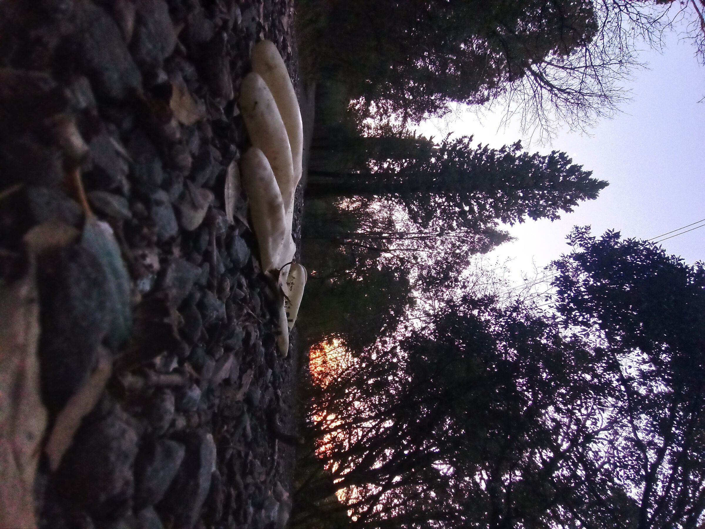 Guanto mi piace il tramonto