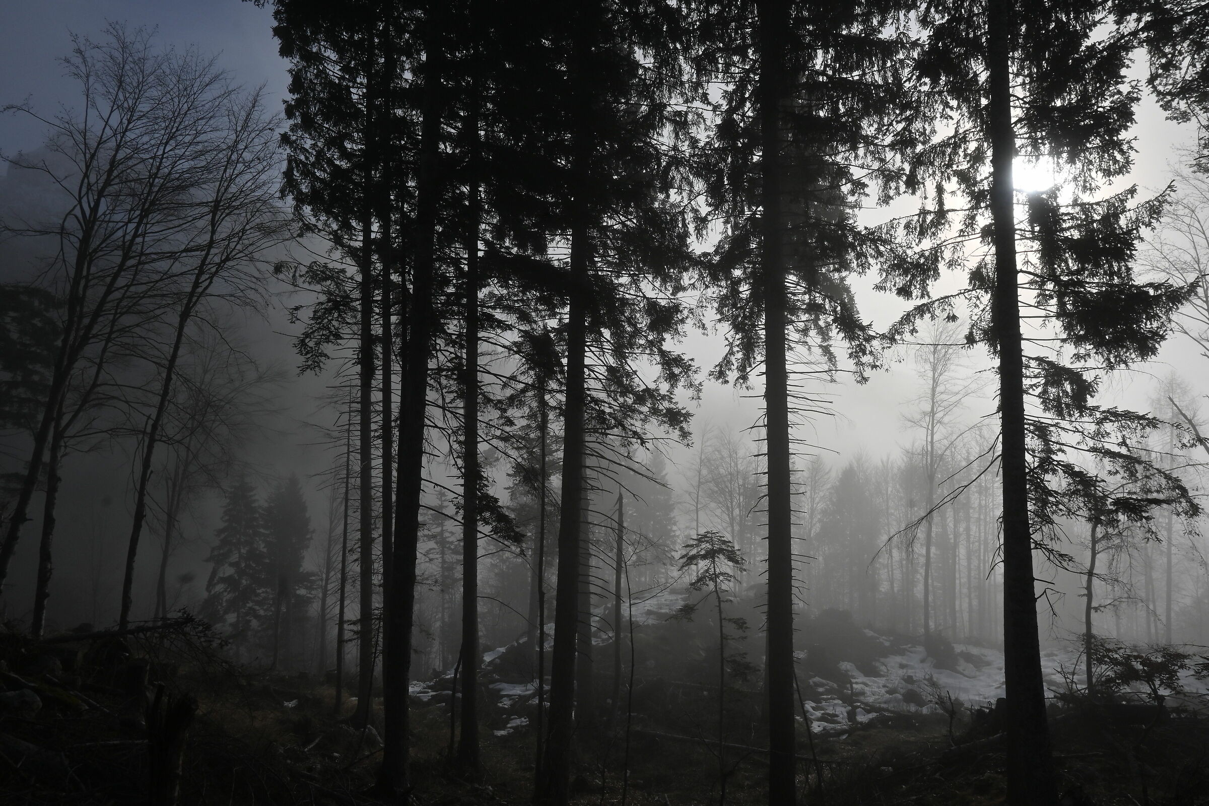fog