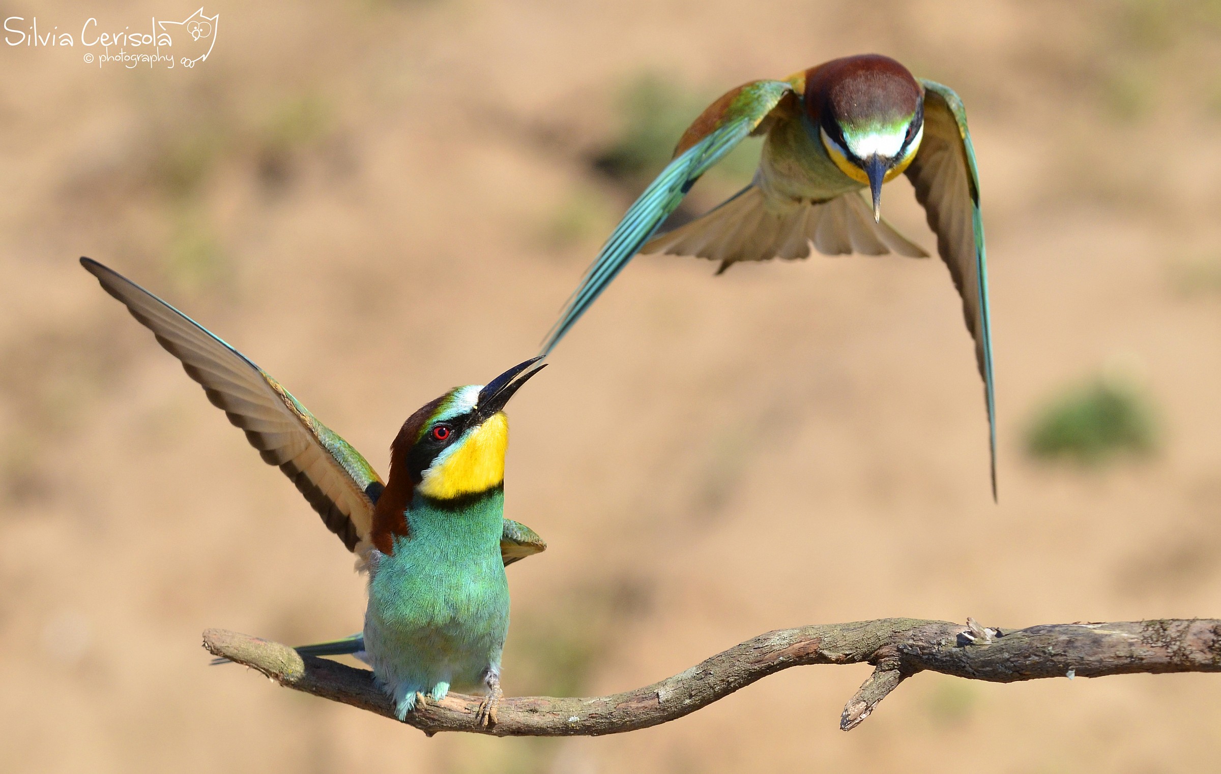 You seem to come back