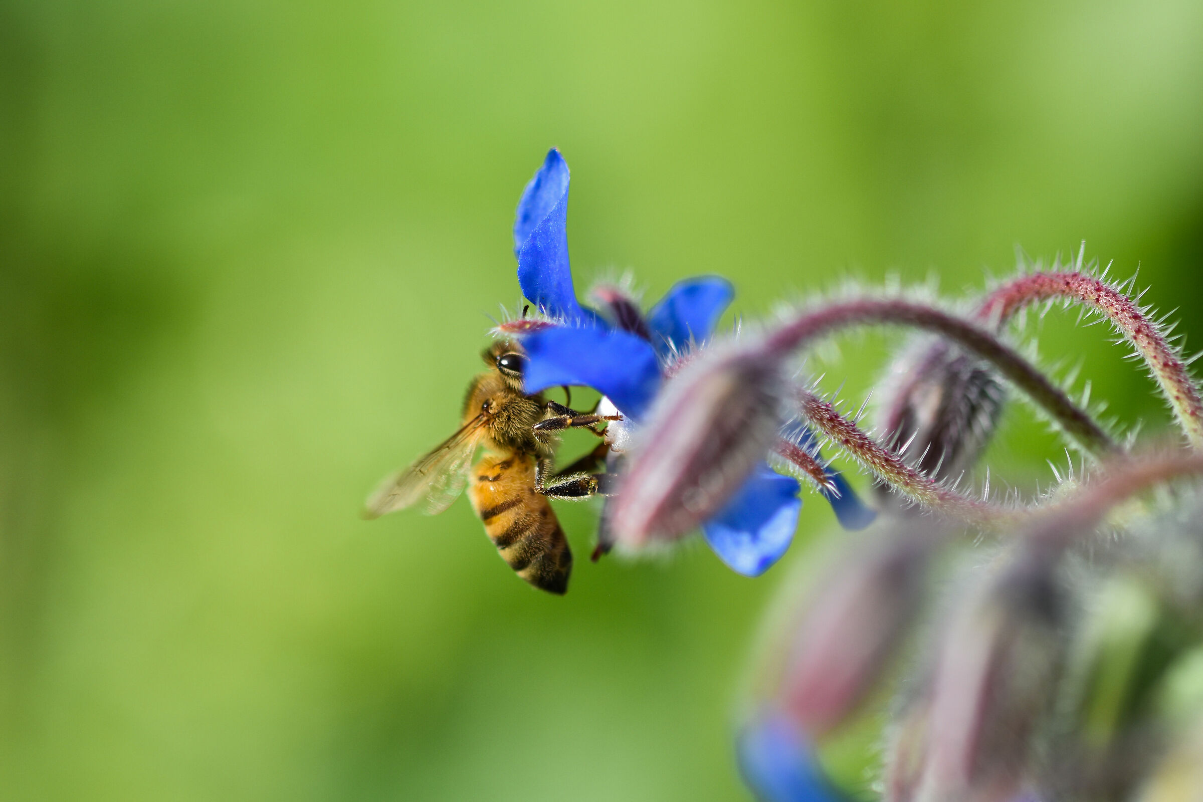 A lot of hard work is hidden behind the most beautiful thing...