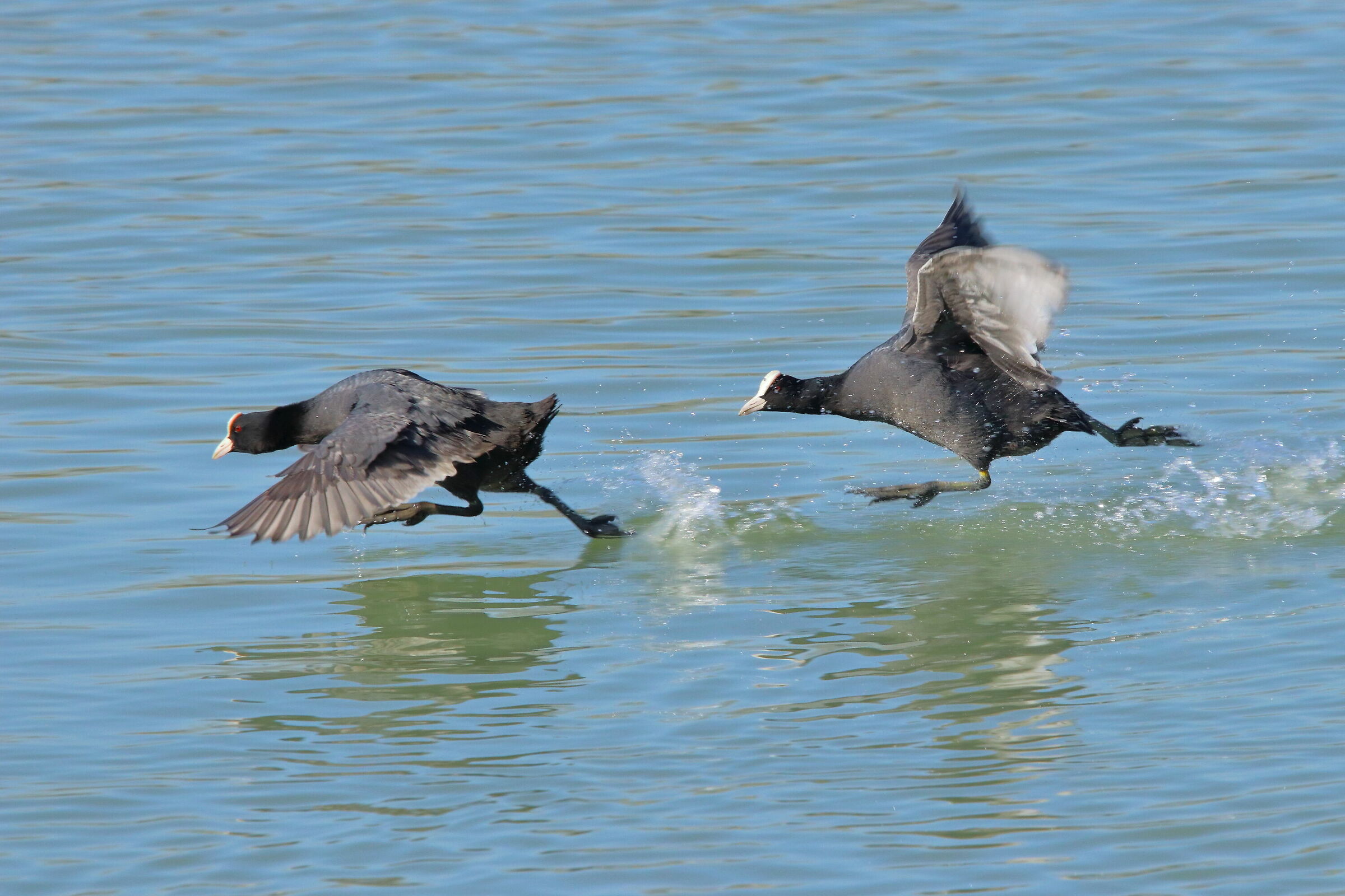 I'll take you anyway!