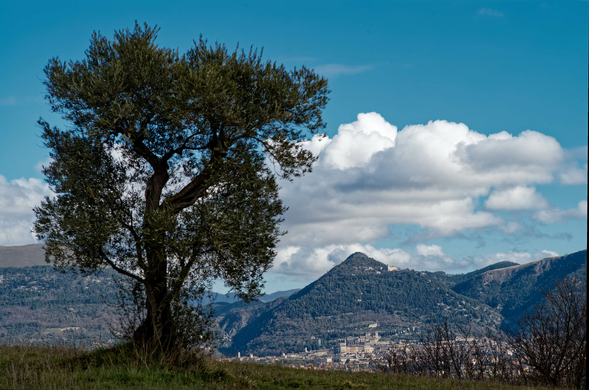 Gubbio dalle colline