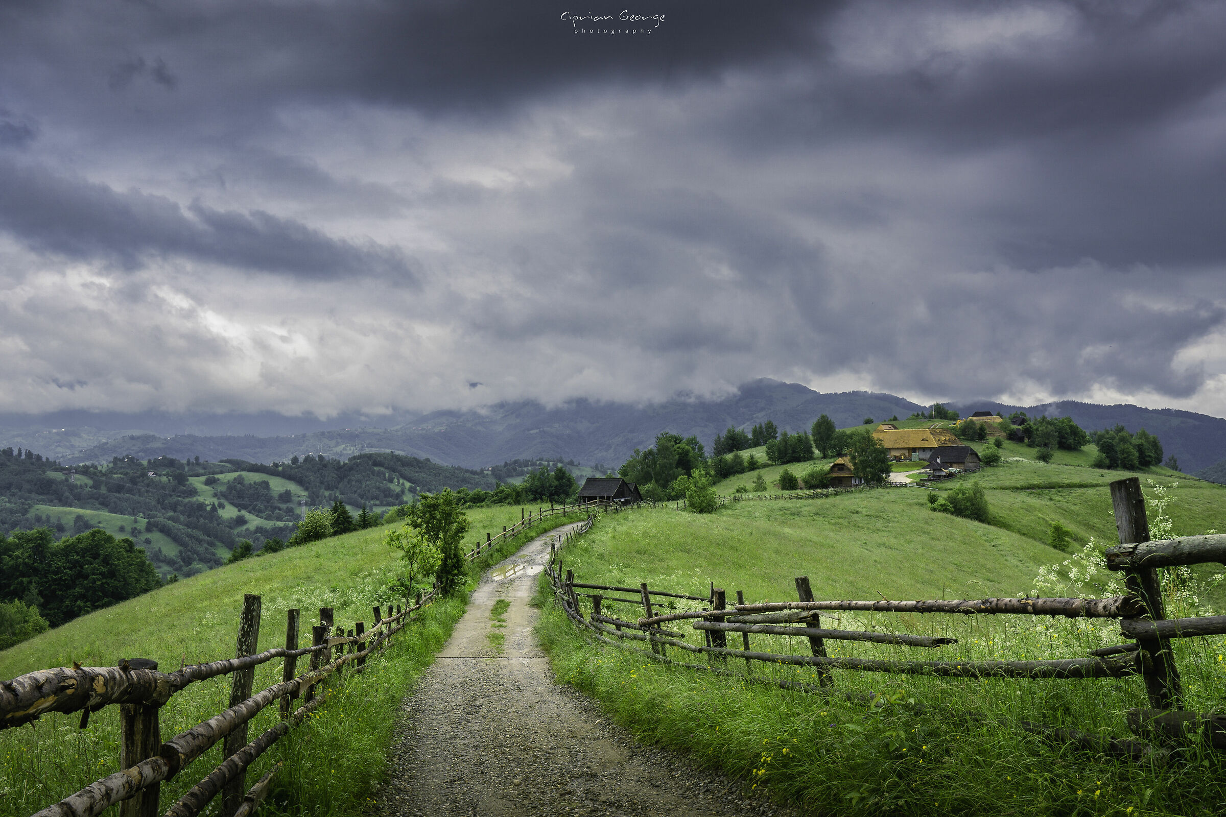 Aspettando la primavera
