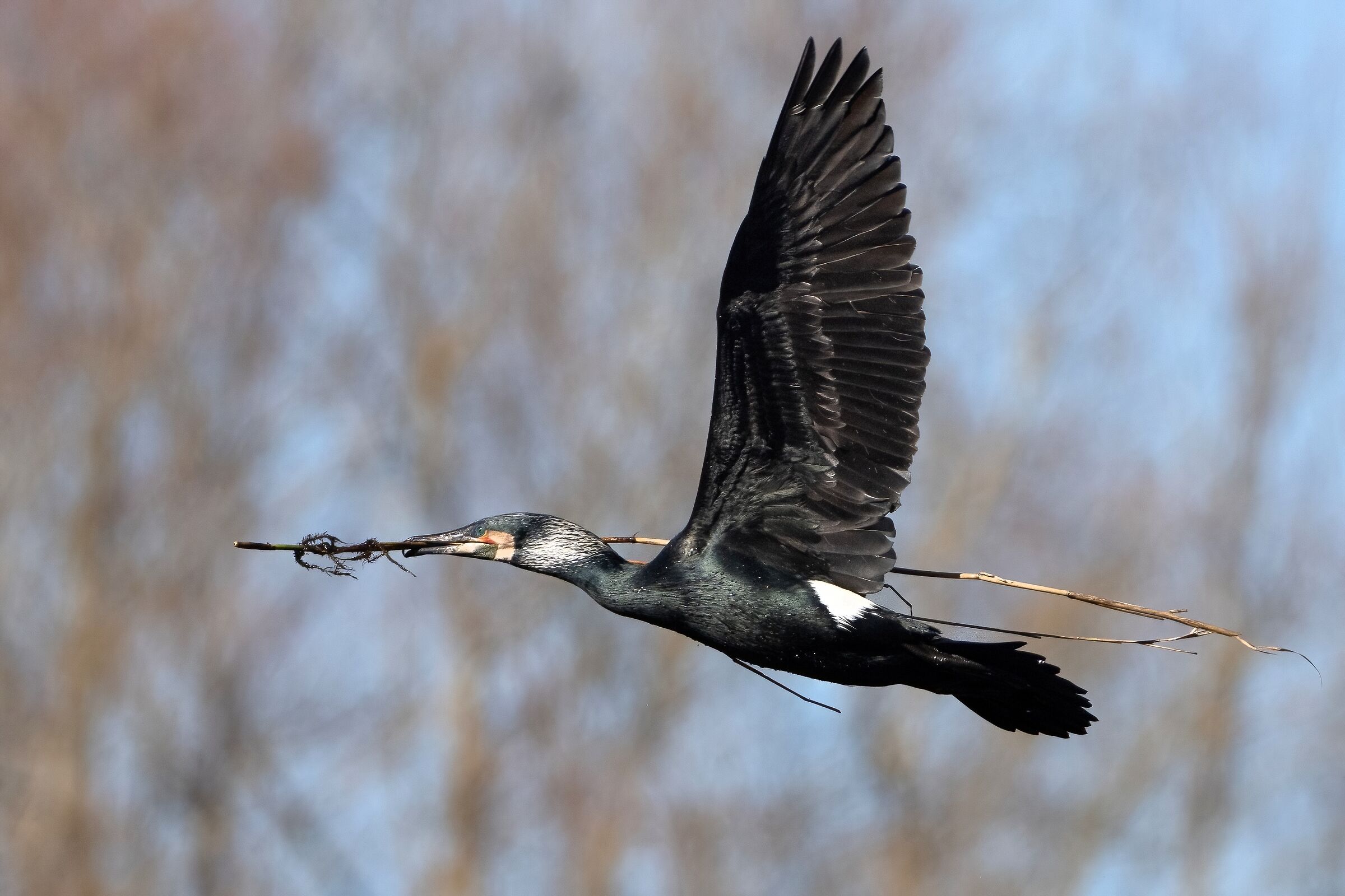 It's time to think about the nest