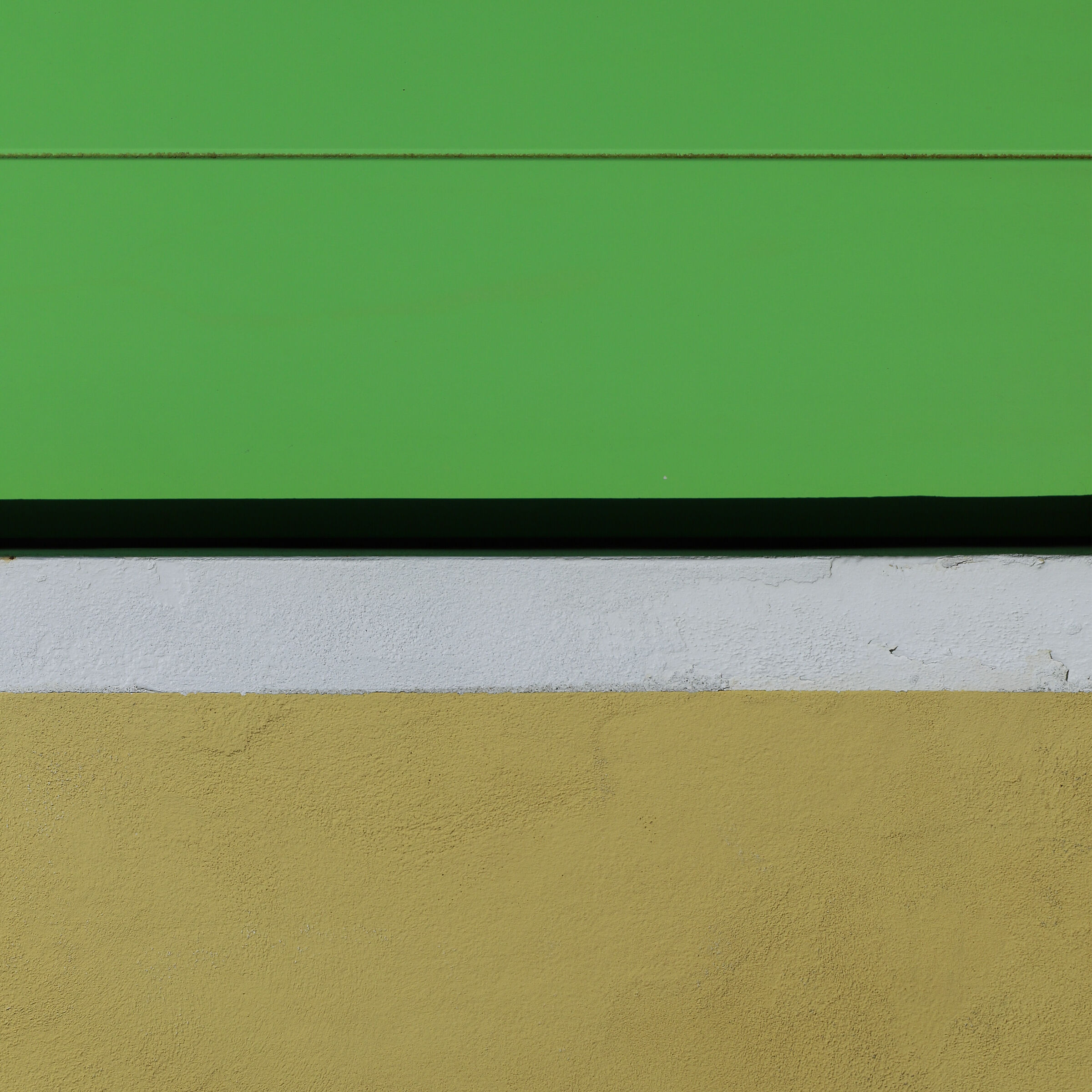 Quando le linee trovano i colori