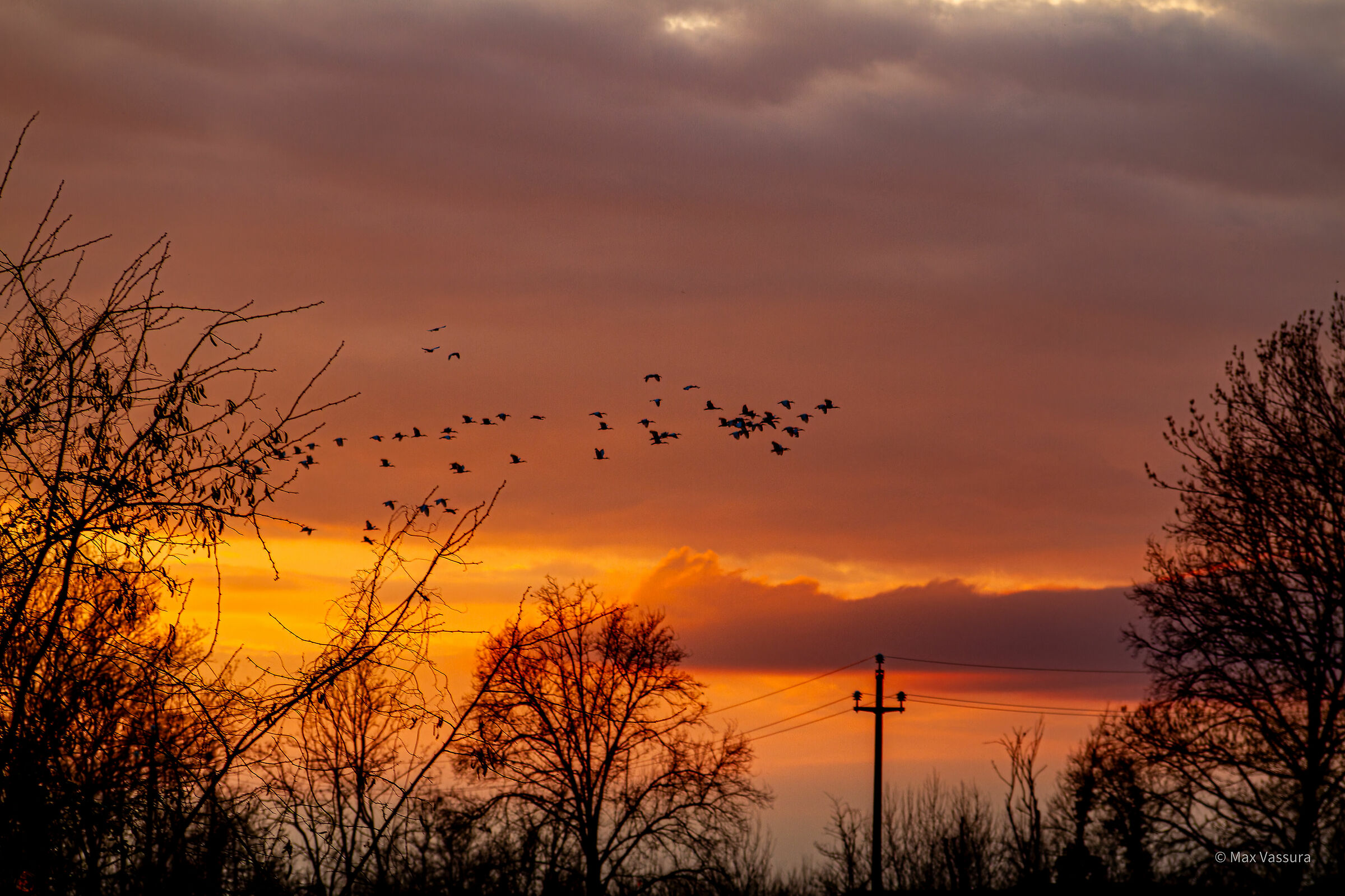 Tramonto Lodi Vecchio