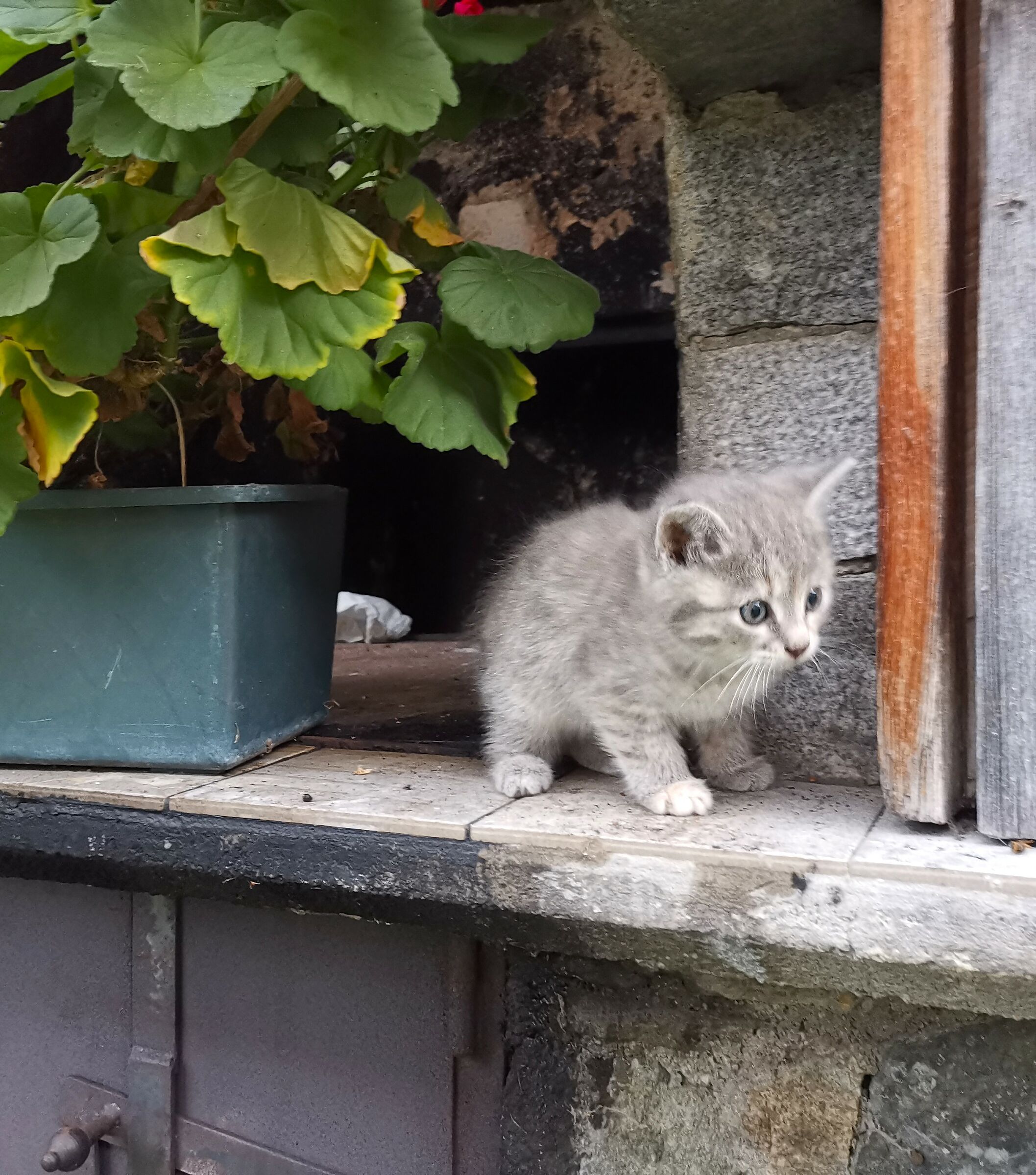 But it was very small...