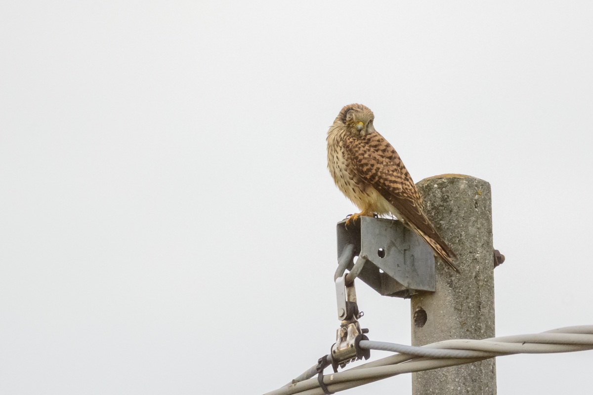 Una volta ero giovane e bello...