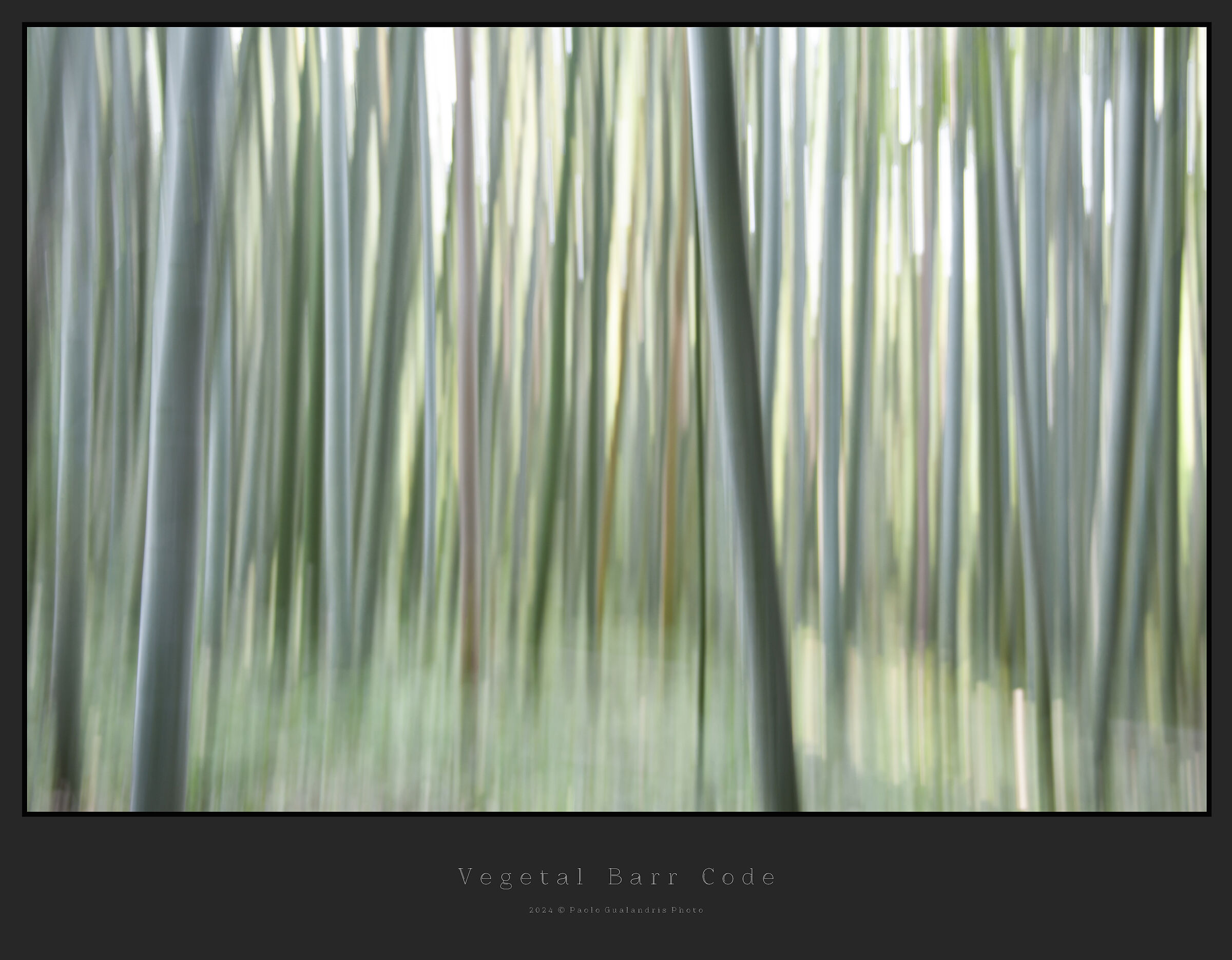 Vegetal Barr Code
