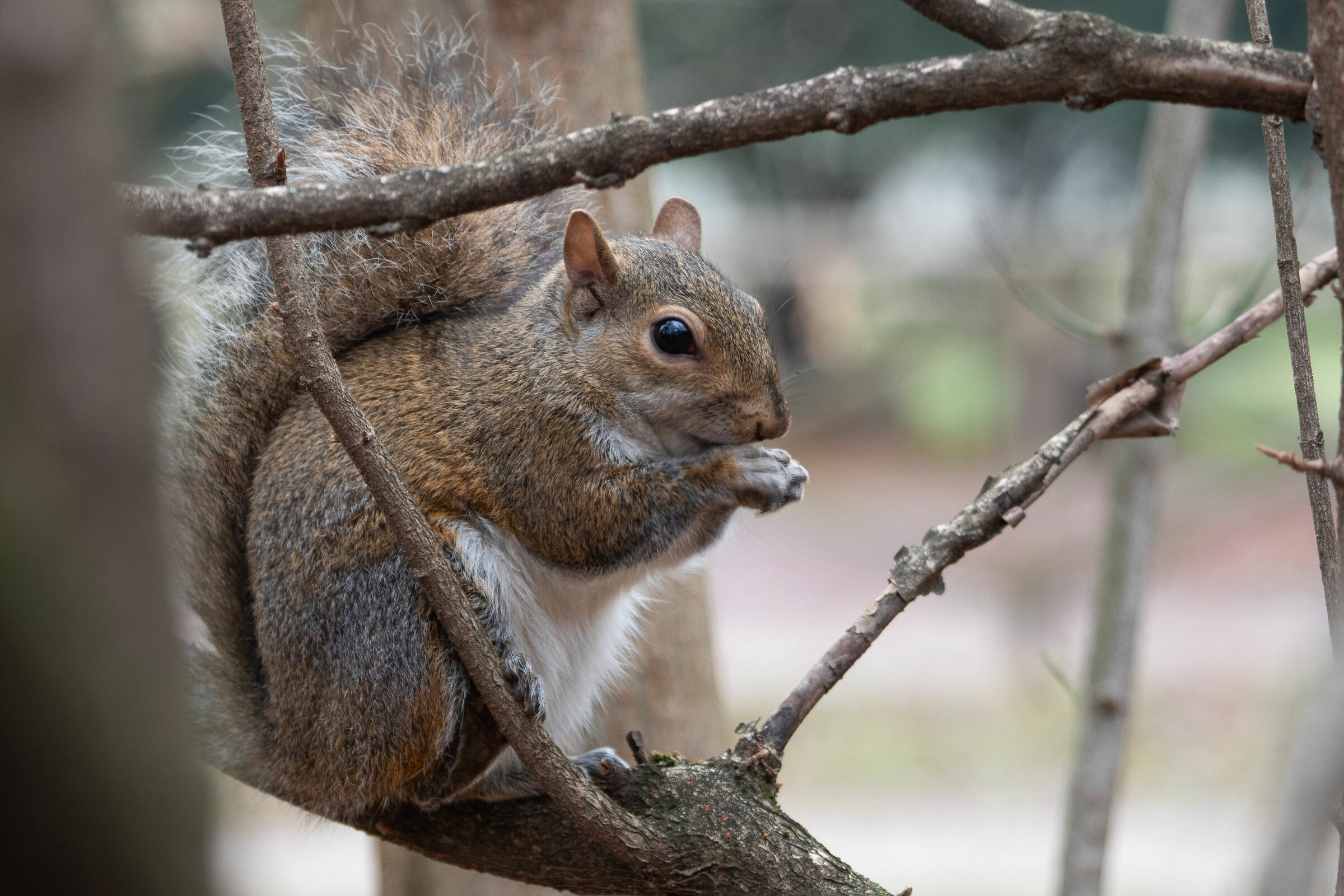 Milan, Parco Sempione