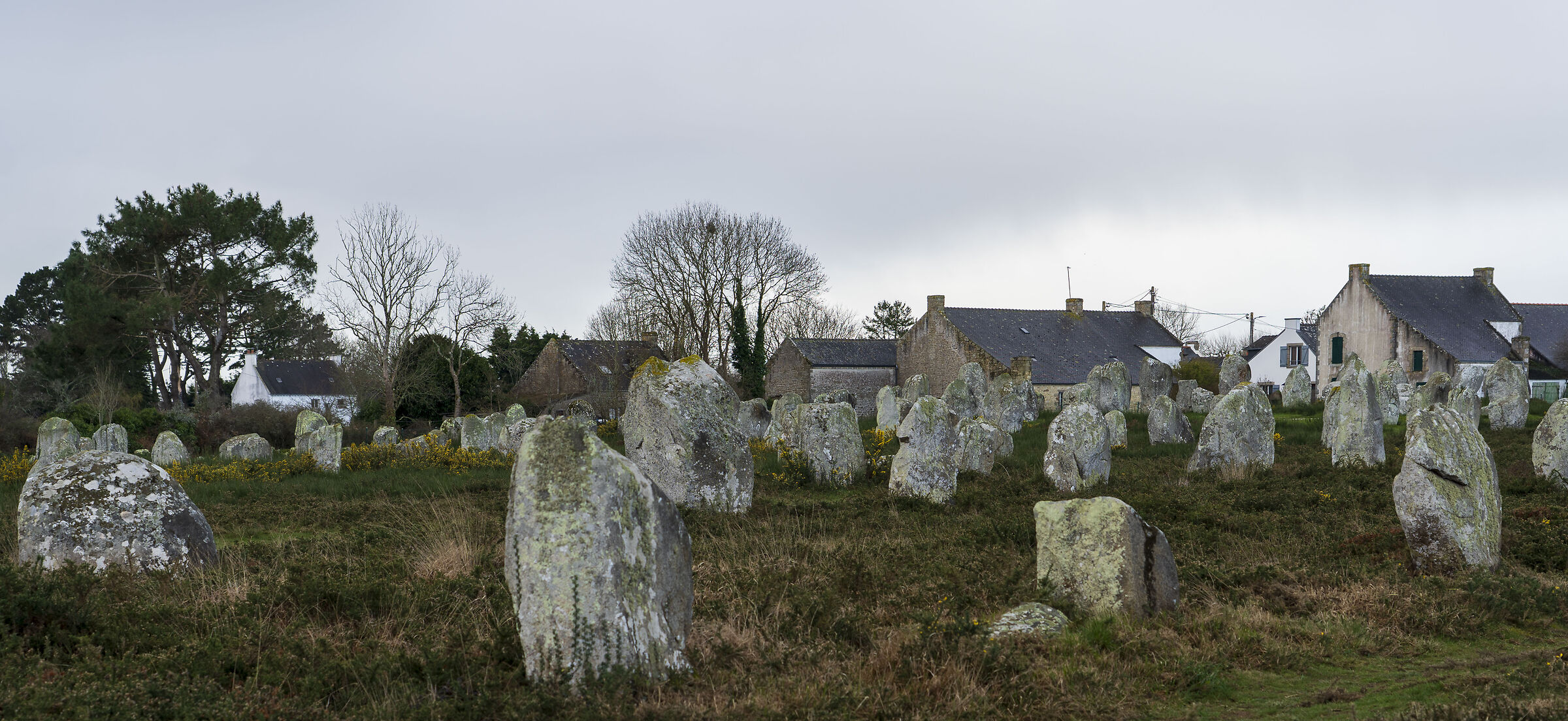 Carnac e i suoi menhir