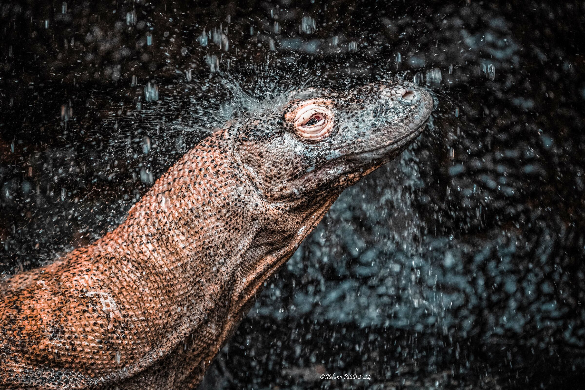 The Dragon Washes