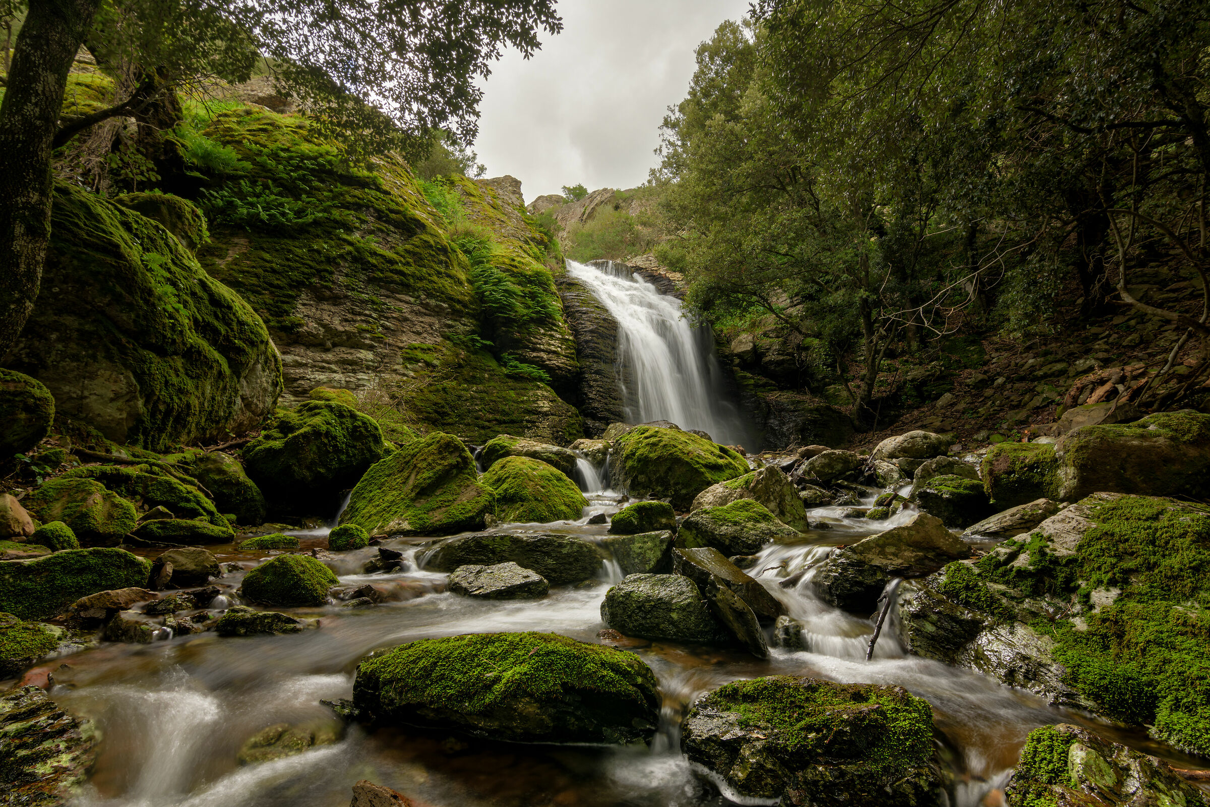 In The Land Of The Elves