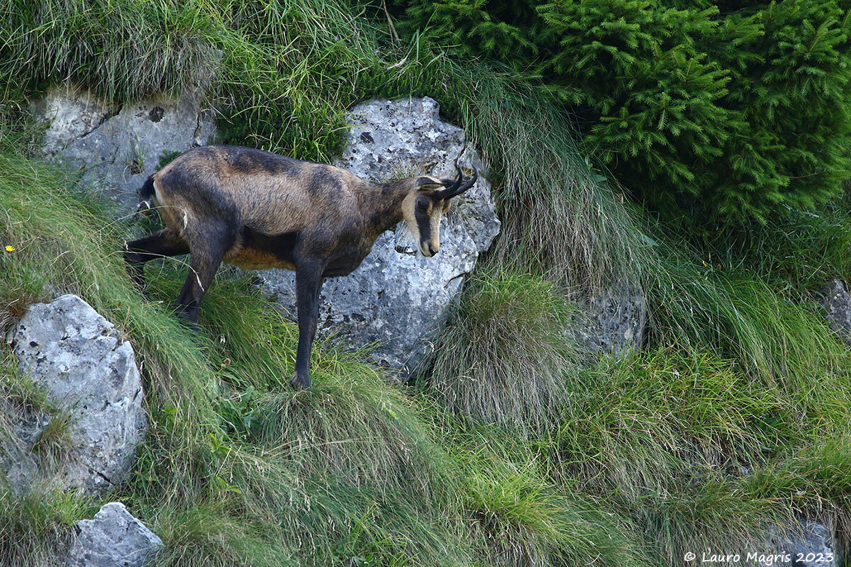 Controllo della situazione