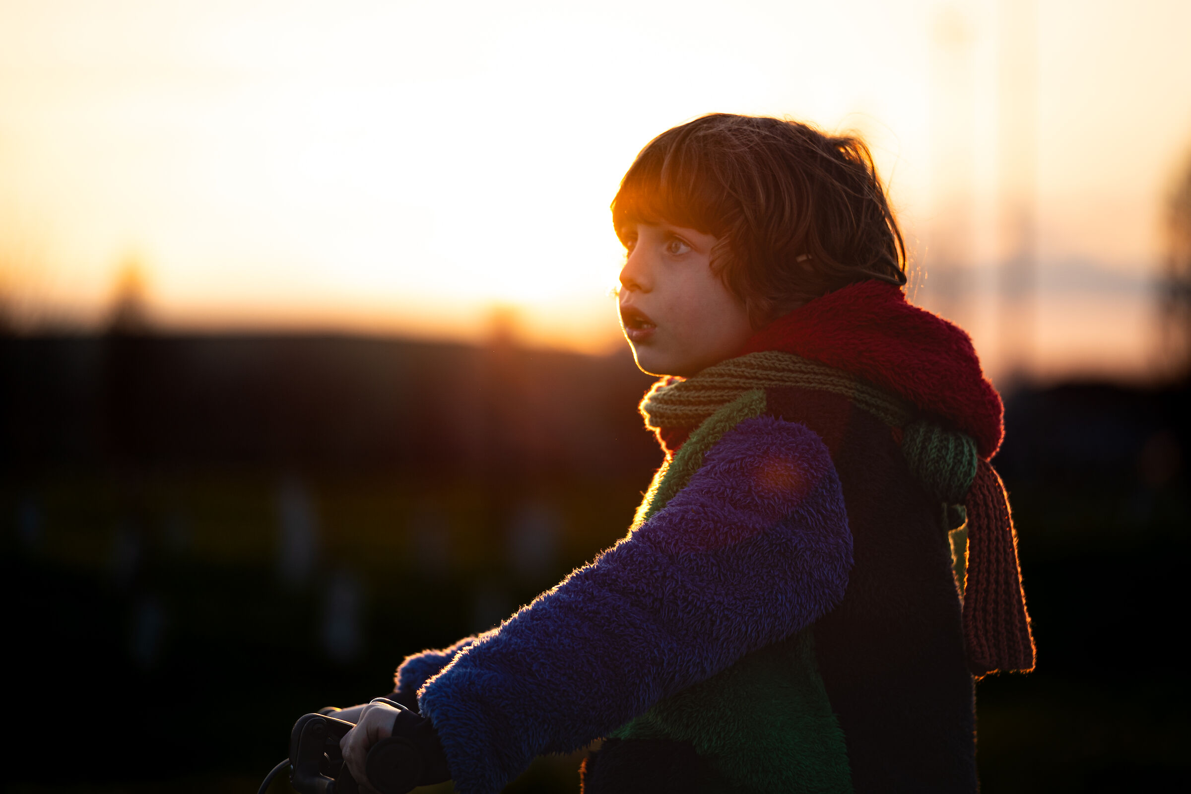 in the sunset