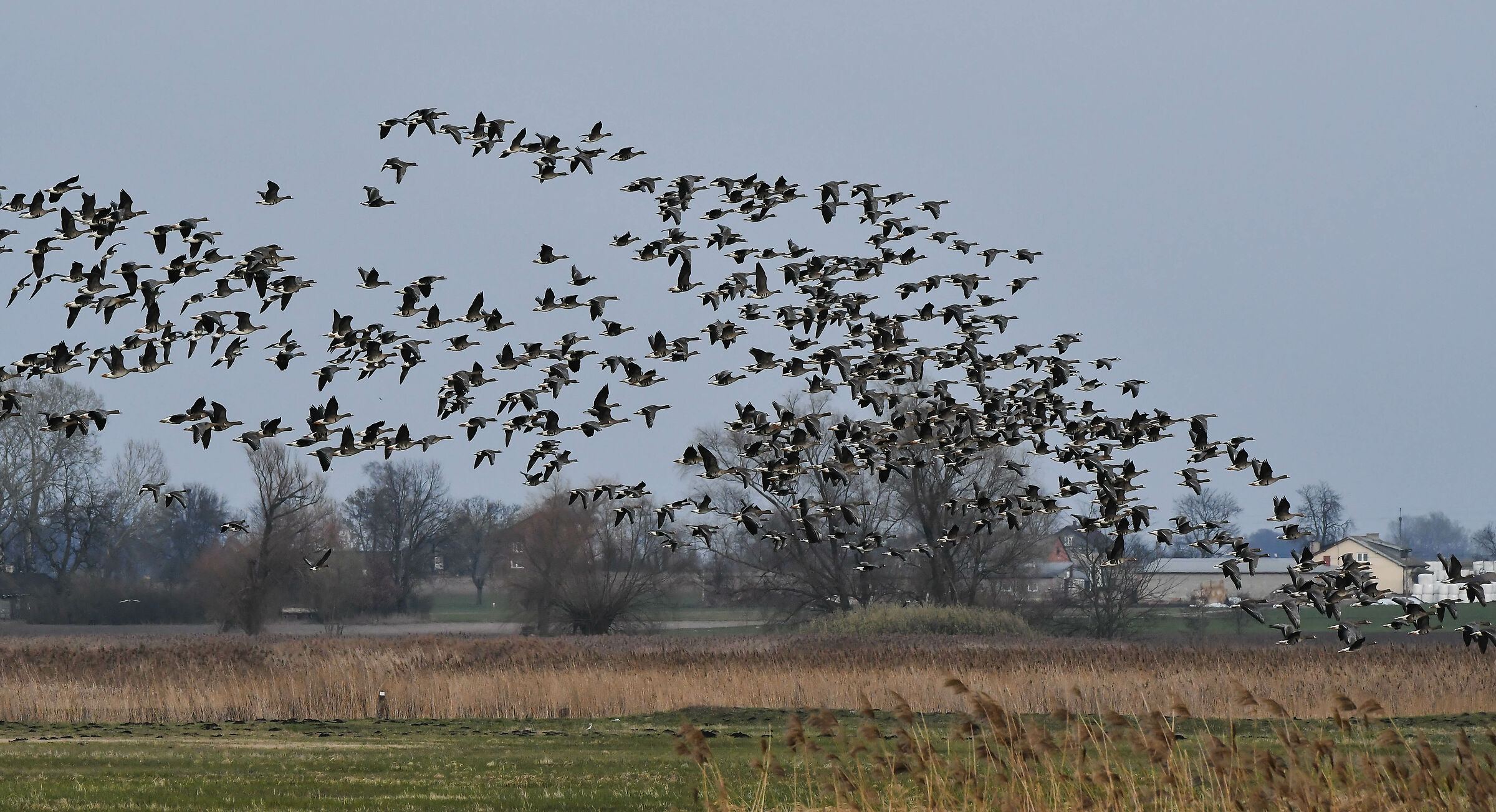 Mazovia, 15 marzo 2024a