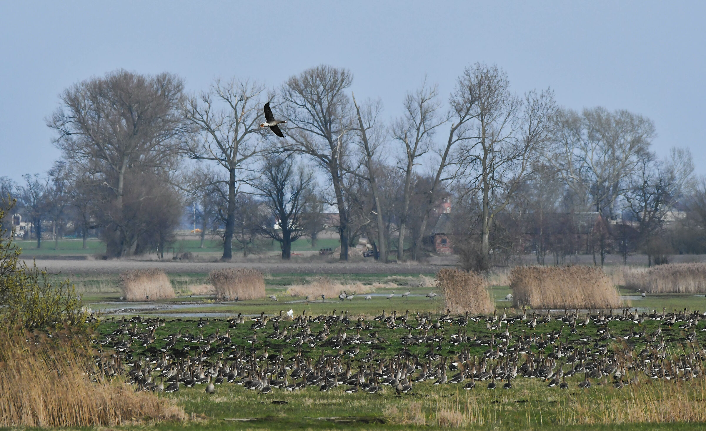 Mazovia, 15 marzo 2024