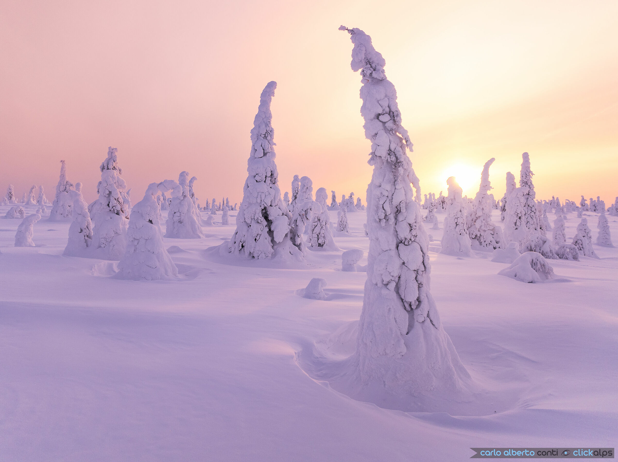 magical Riisitunturi